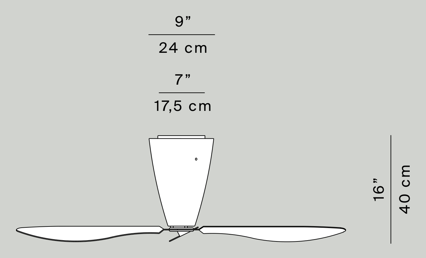 Thumbnail for image 4