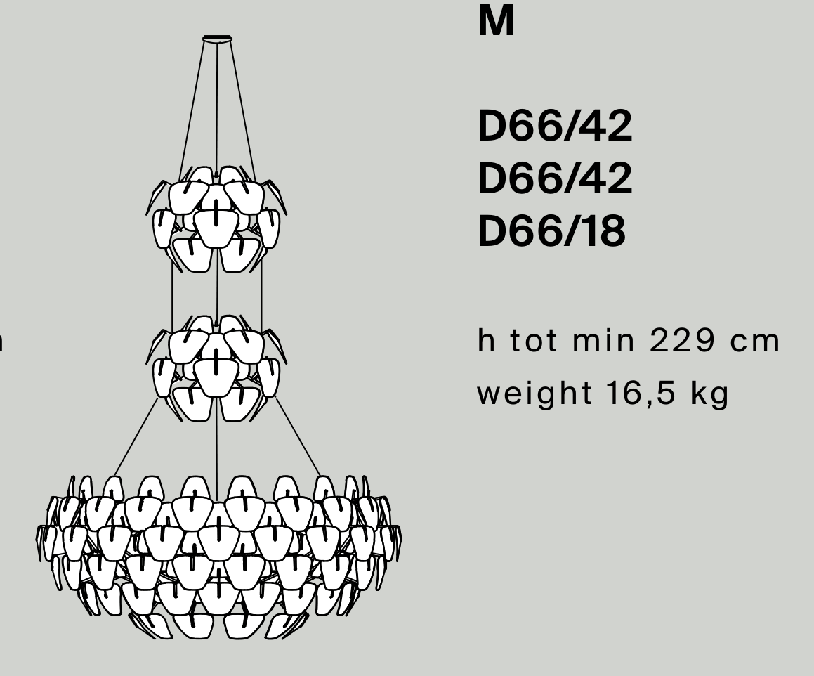 Thumbnail for image 20