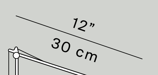Thumbnail for image 8