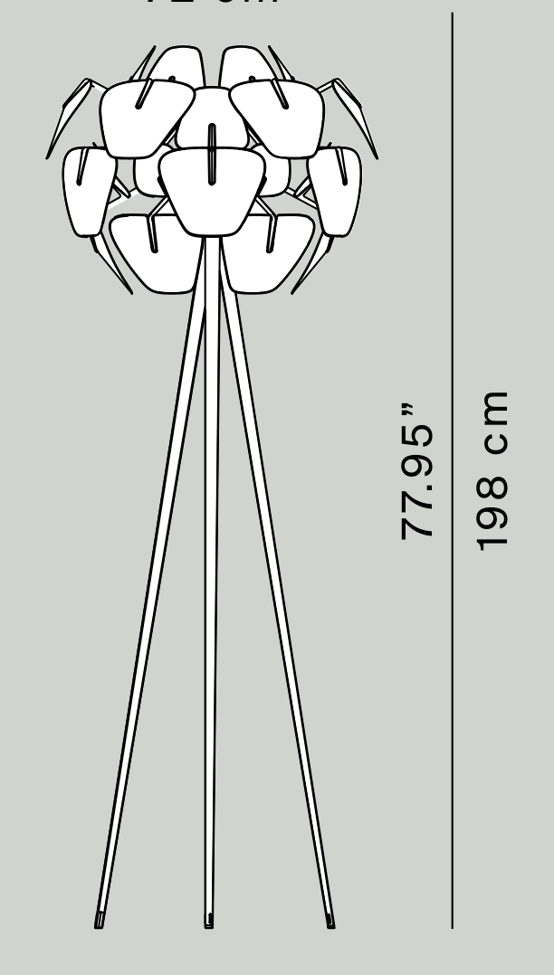 Thumbnail for image 11