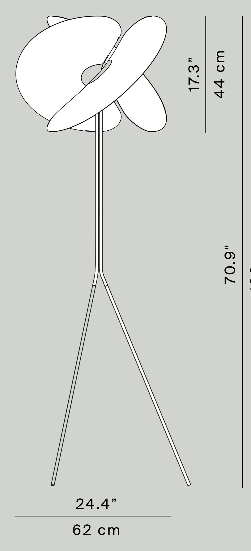 Thumbnail for image 1