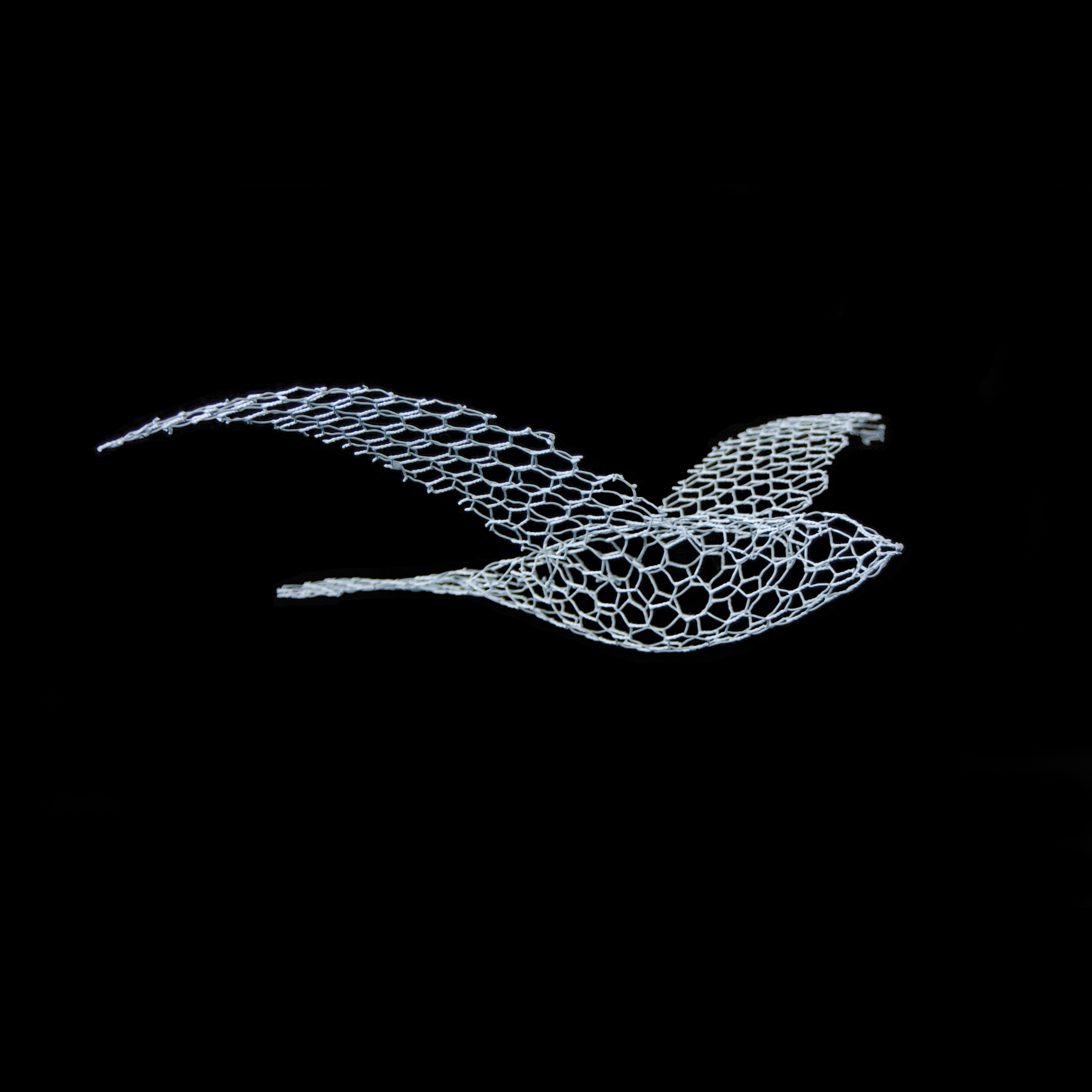 Display product Birds from manufacturer Magis