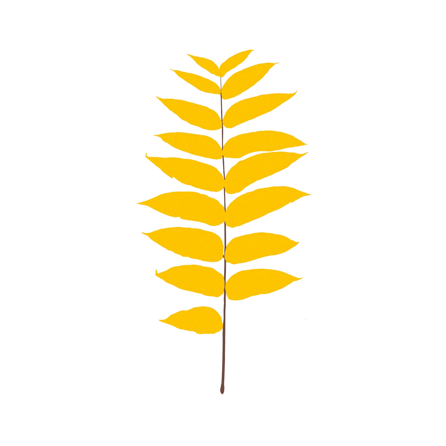 Mostrar el producto Leaves del fabricante Magis