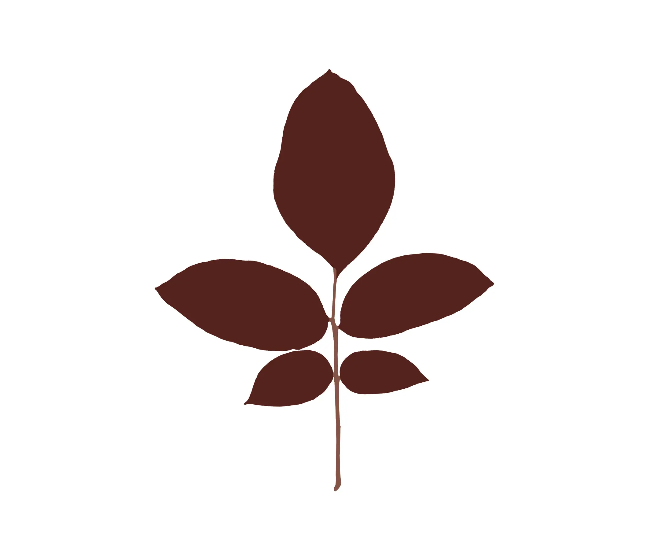 Magis - Leaves