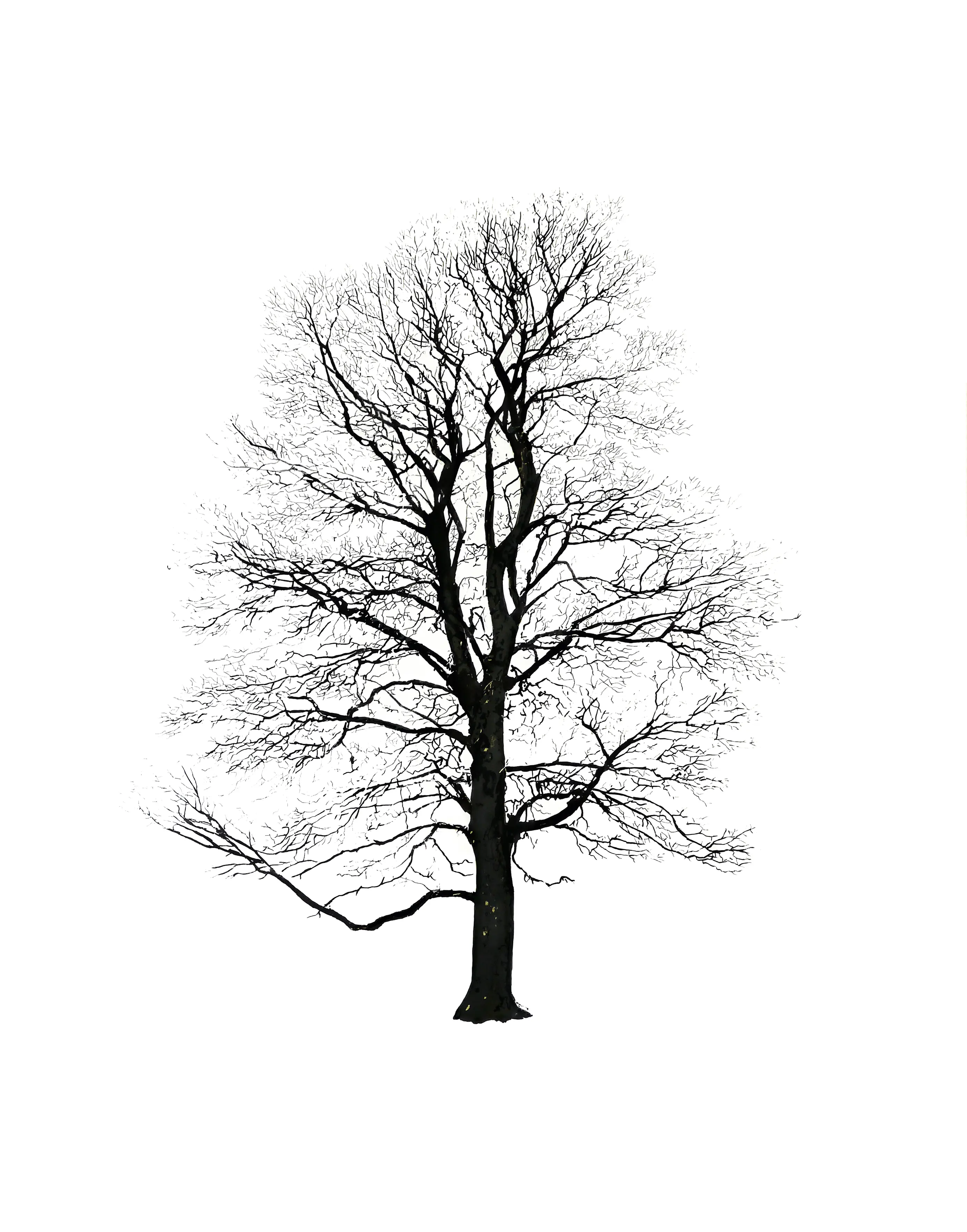 Magis - Tree Winter