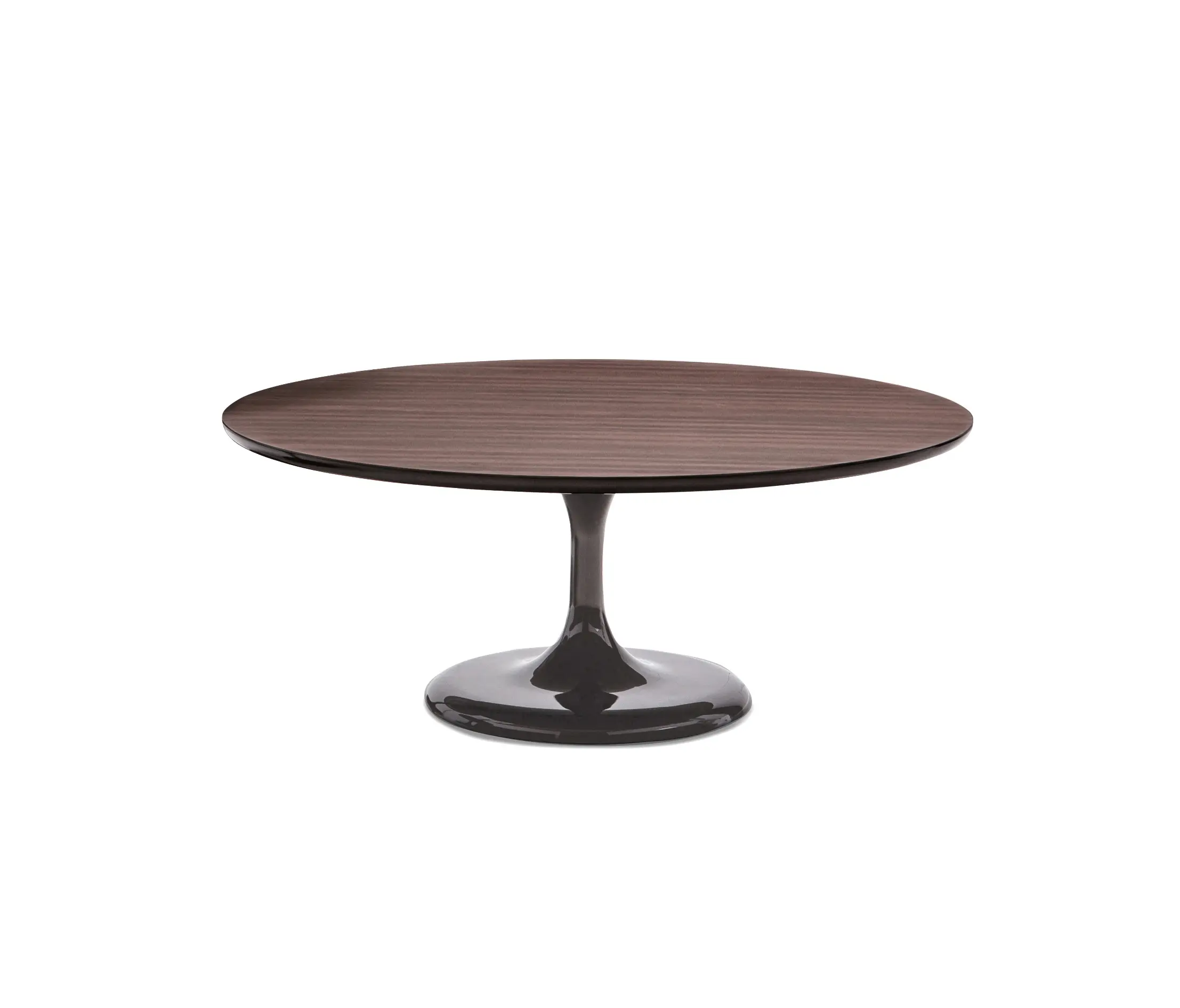 Minotti - Neto