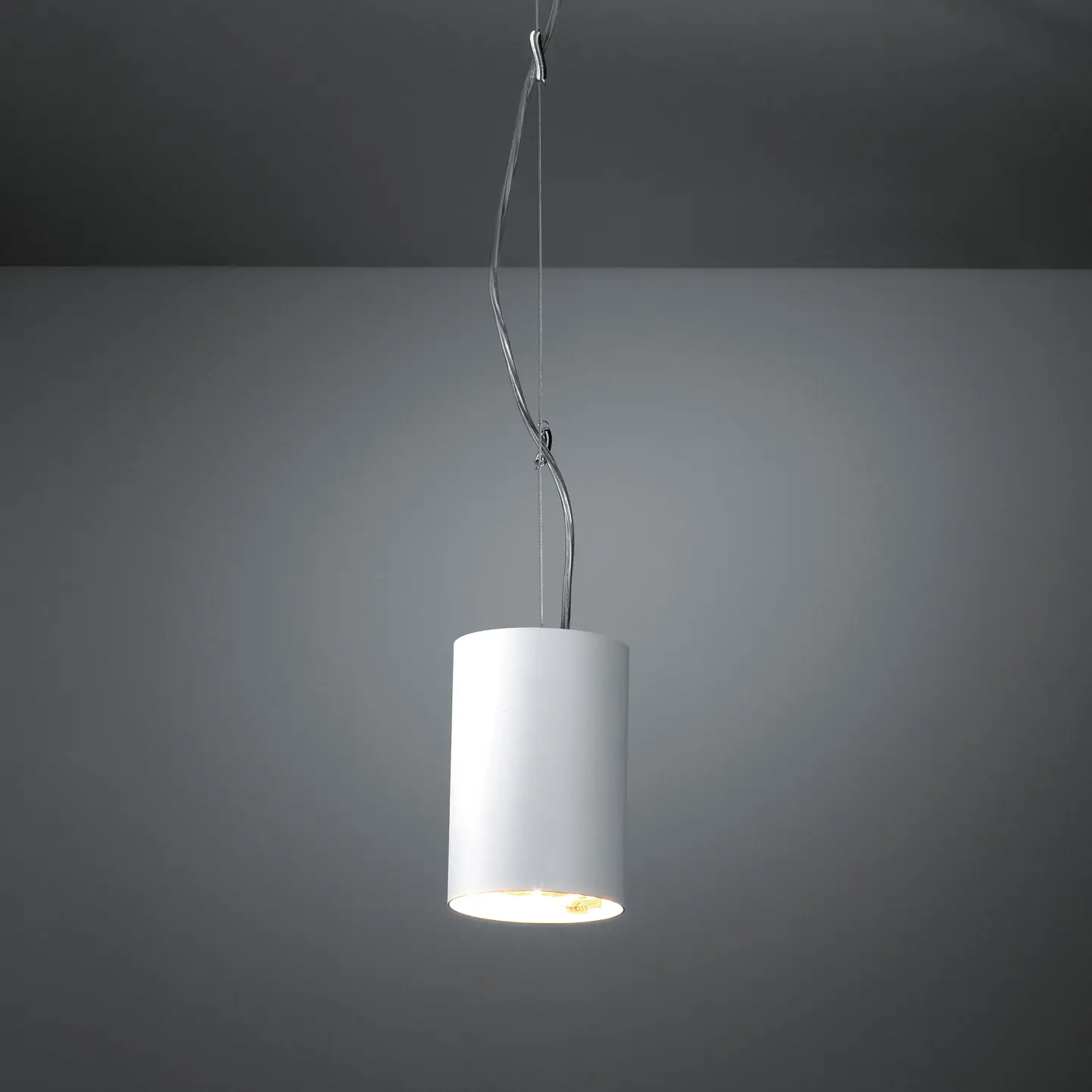 Modular Lighting Instruments - Nude suspension PAR30