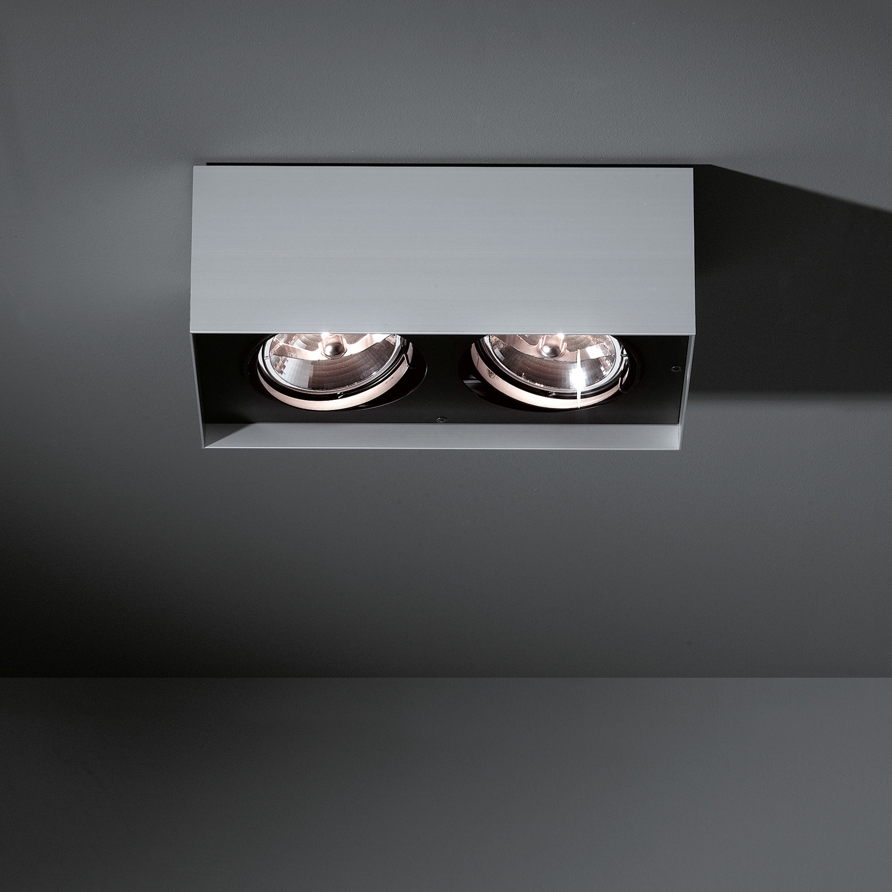 Display product Multiple surface 2x AR111 GI from manufacturer Modular Lighting Instruments