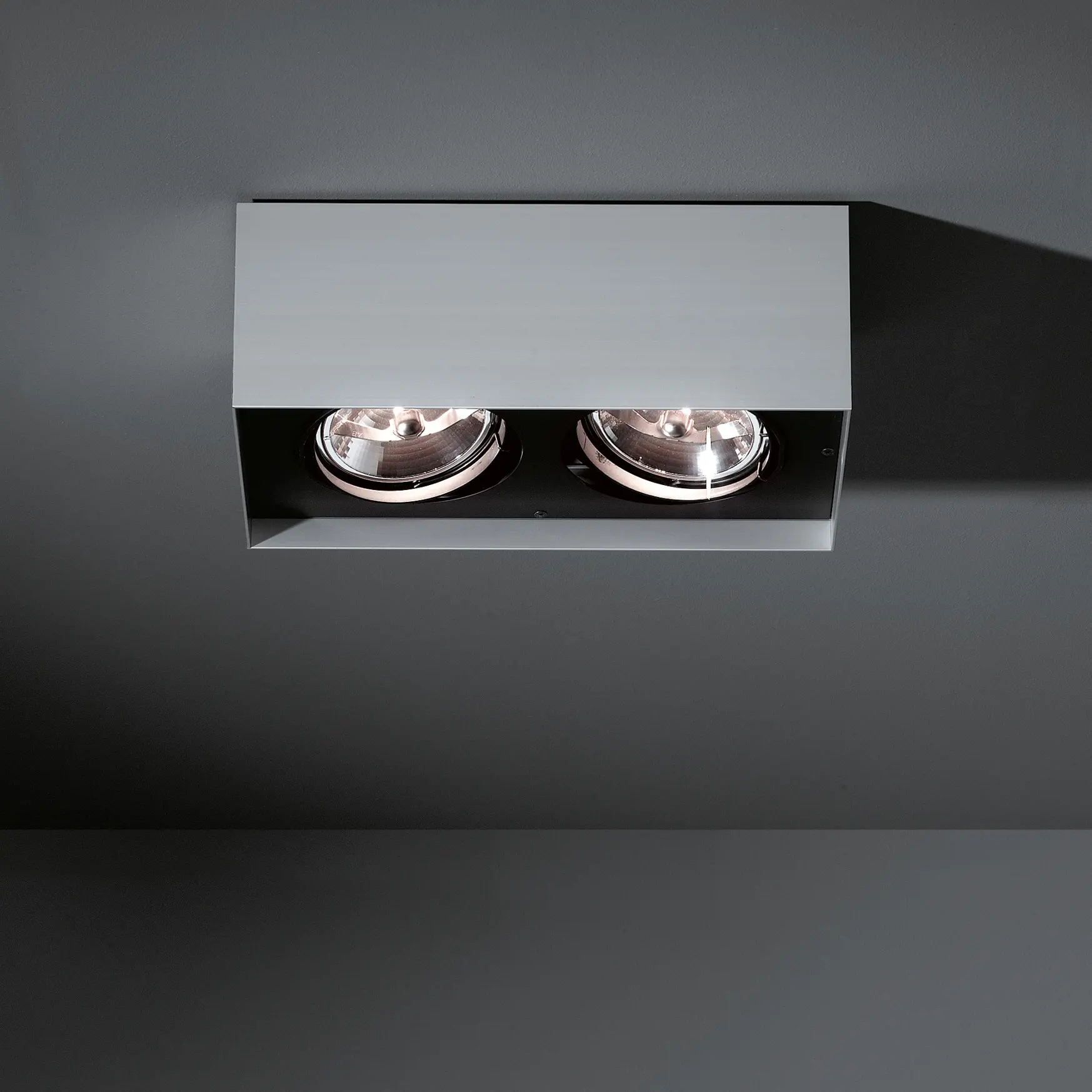 Modular Lighting Instruments - Multiple surface 2x AR111 GI