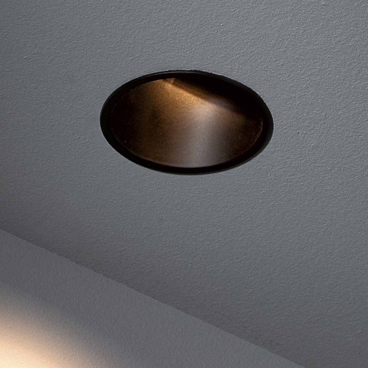 Display product Asy Lotis 82 GU10 from manufacturer Modular Lighting Instruments