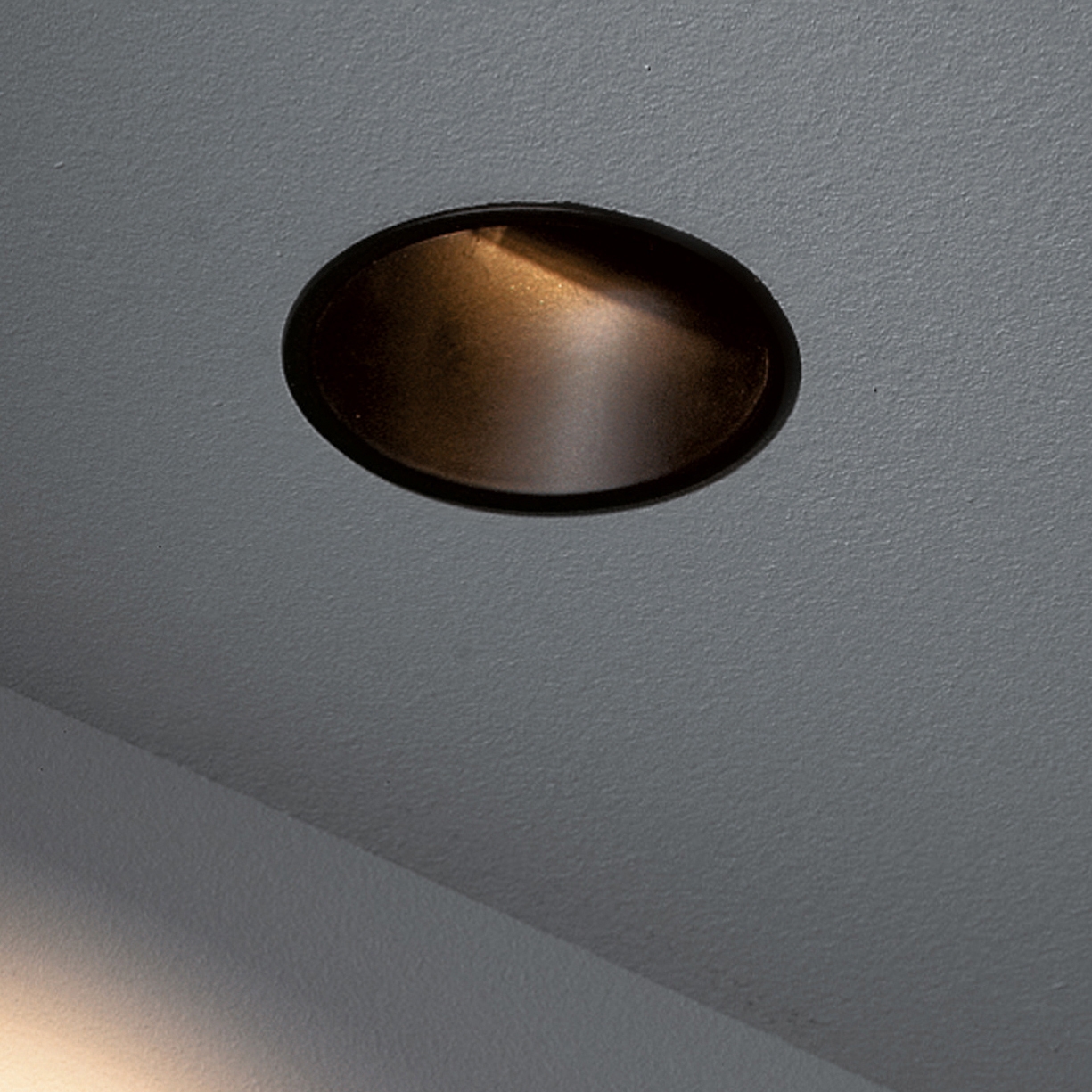 Display product Asy Lotis 82 LED retrofit from manufacturer Modular Lighting Instruments