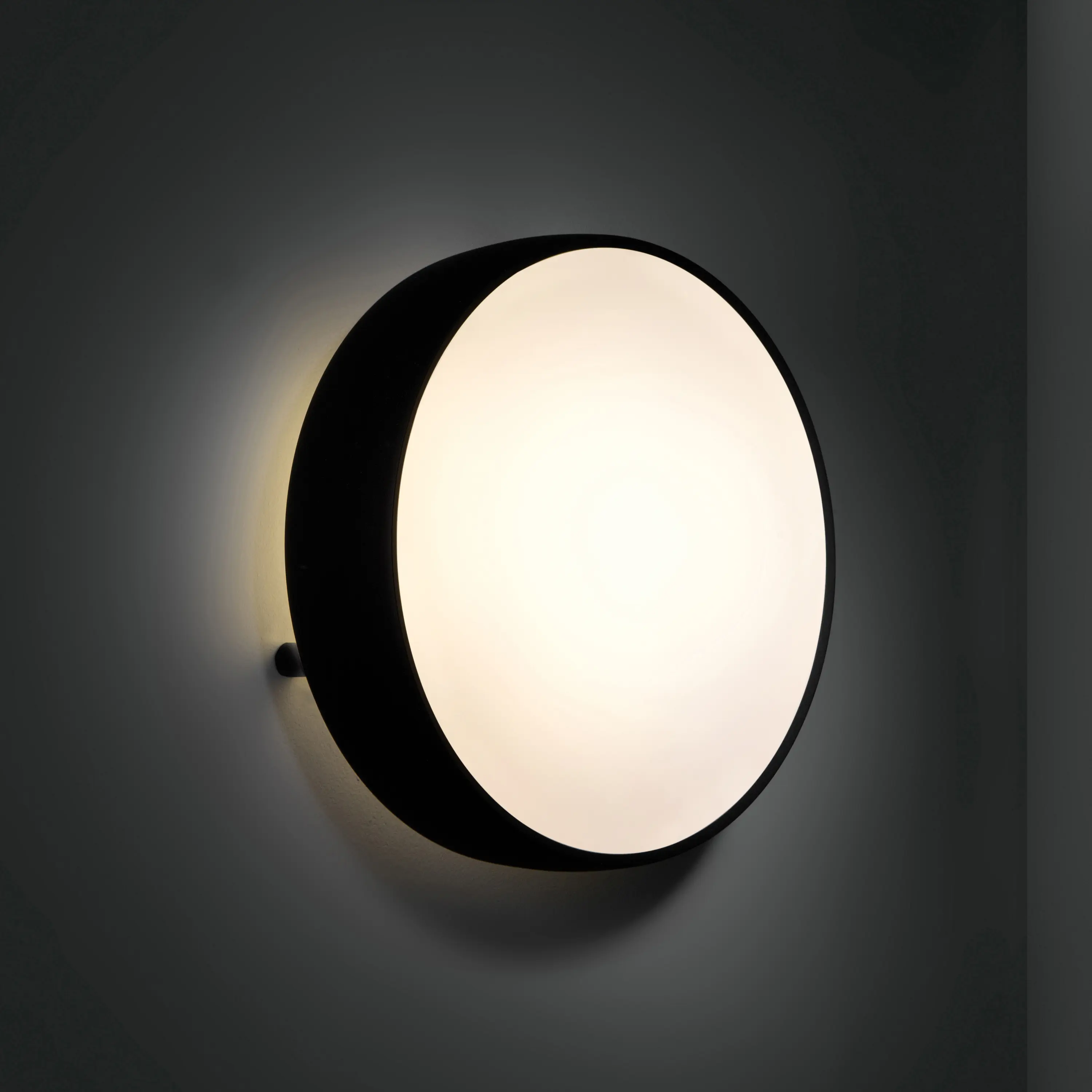 Modular Lighting Instruments - Flat moon 480 wall backlit TL5 Dali/pushdim GI