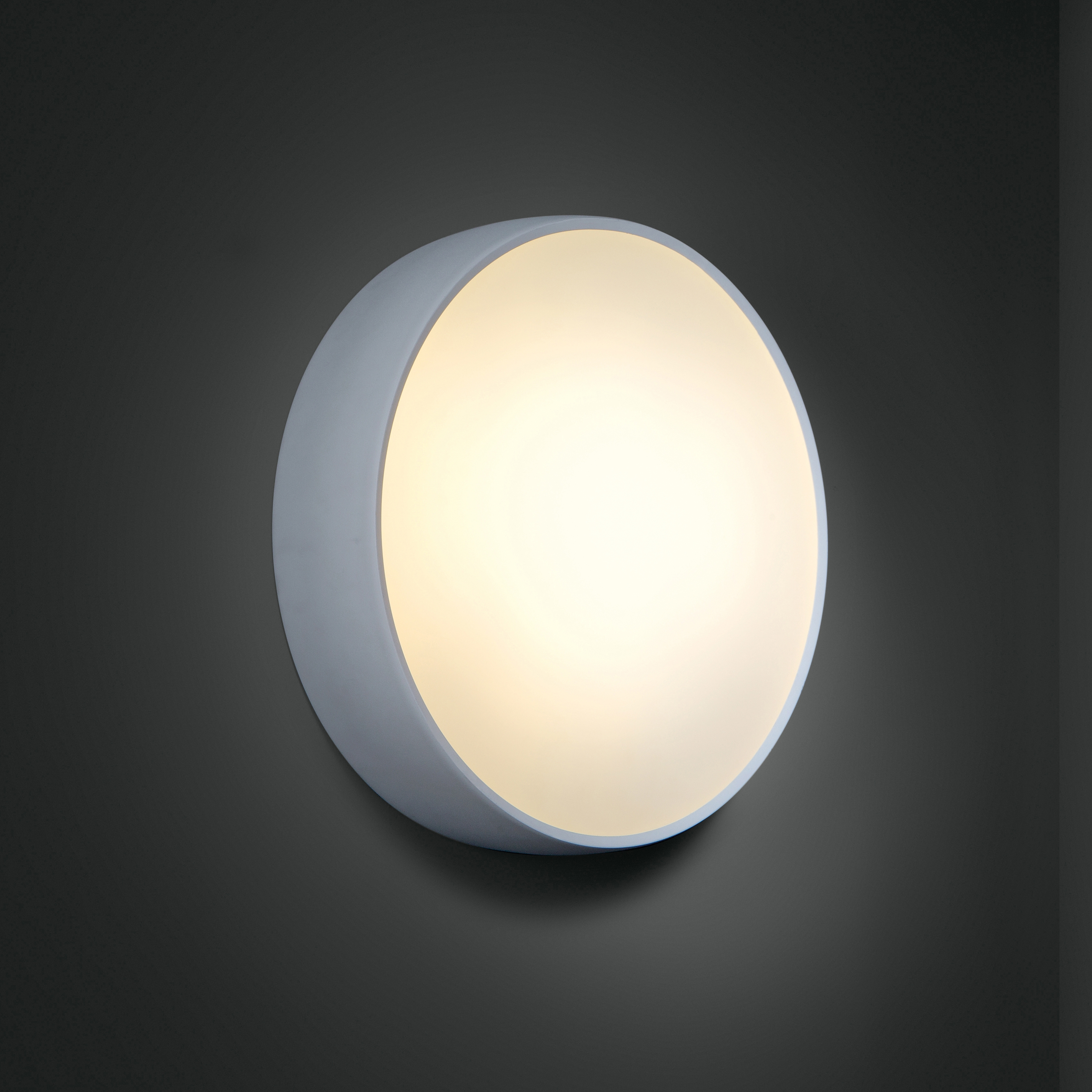 Display product Flat moon 480 wall TL5 1-10V GI from manufacturer Modular Lighting Instruments