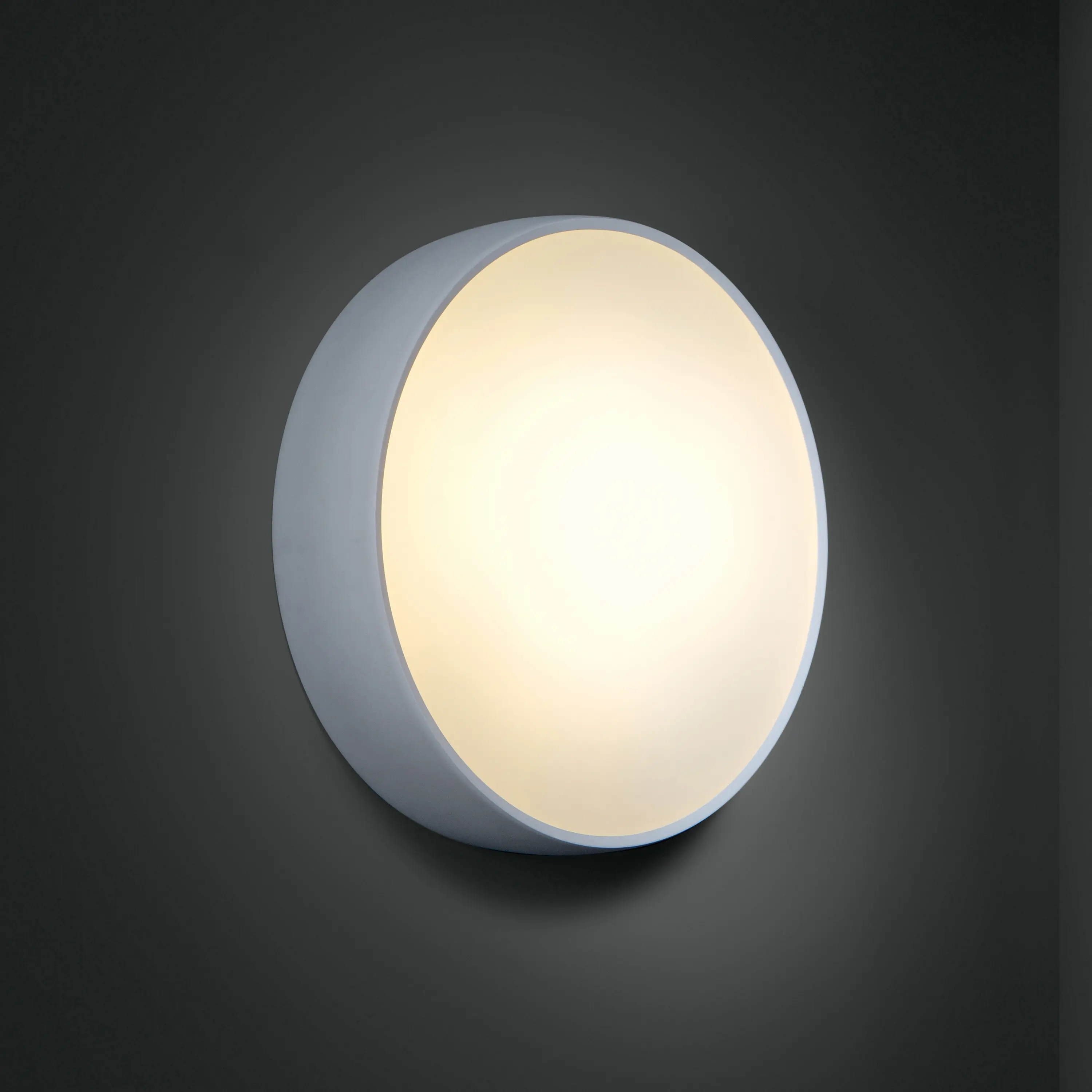 Modular Lighting Instruments - Flat moon 480 wall TL5 1-10V GI