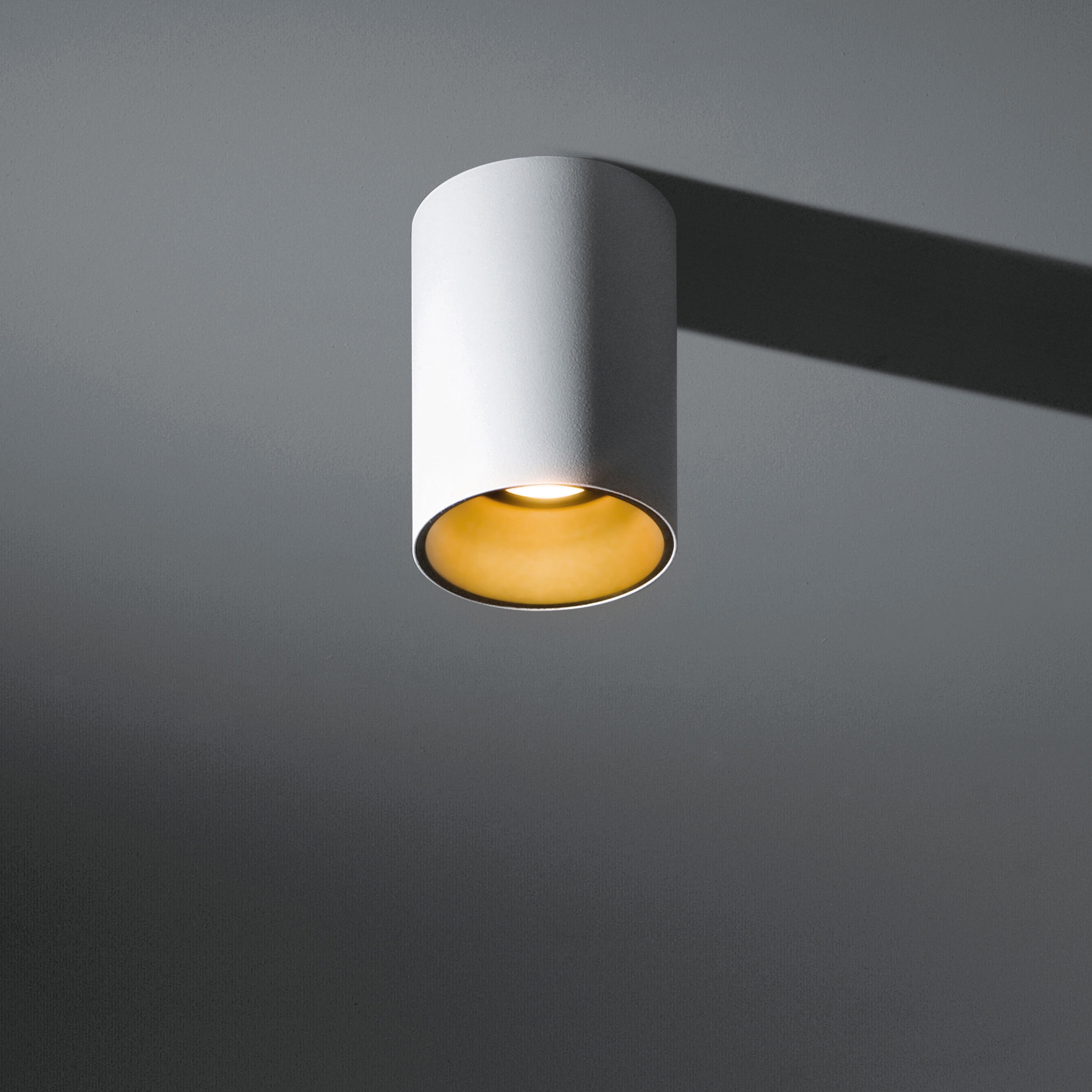 Display product Lotis tubed surface LED retrofit from manufacturer Modular Lighting Instruments