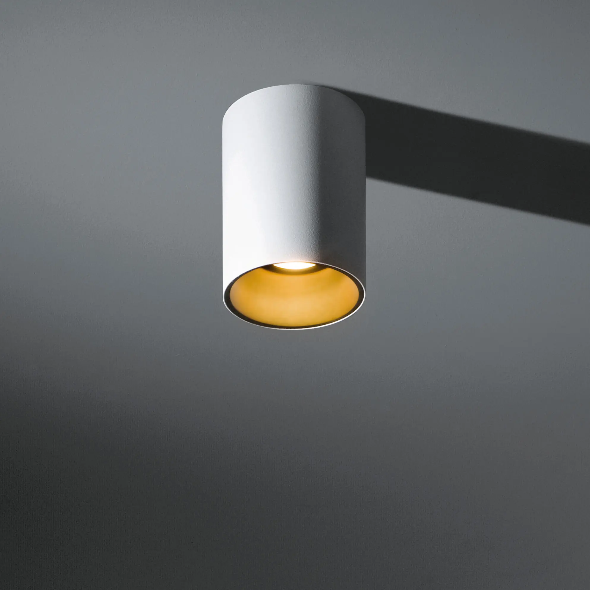 Modular Lighting Instruments - Lotis tubed surface LED retrofit
