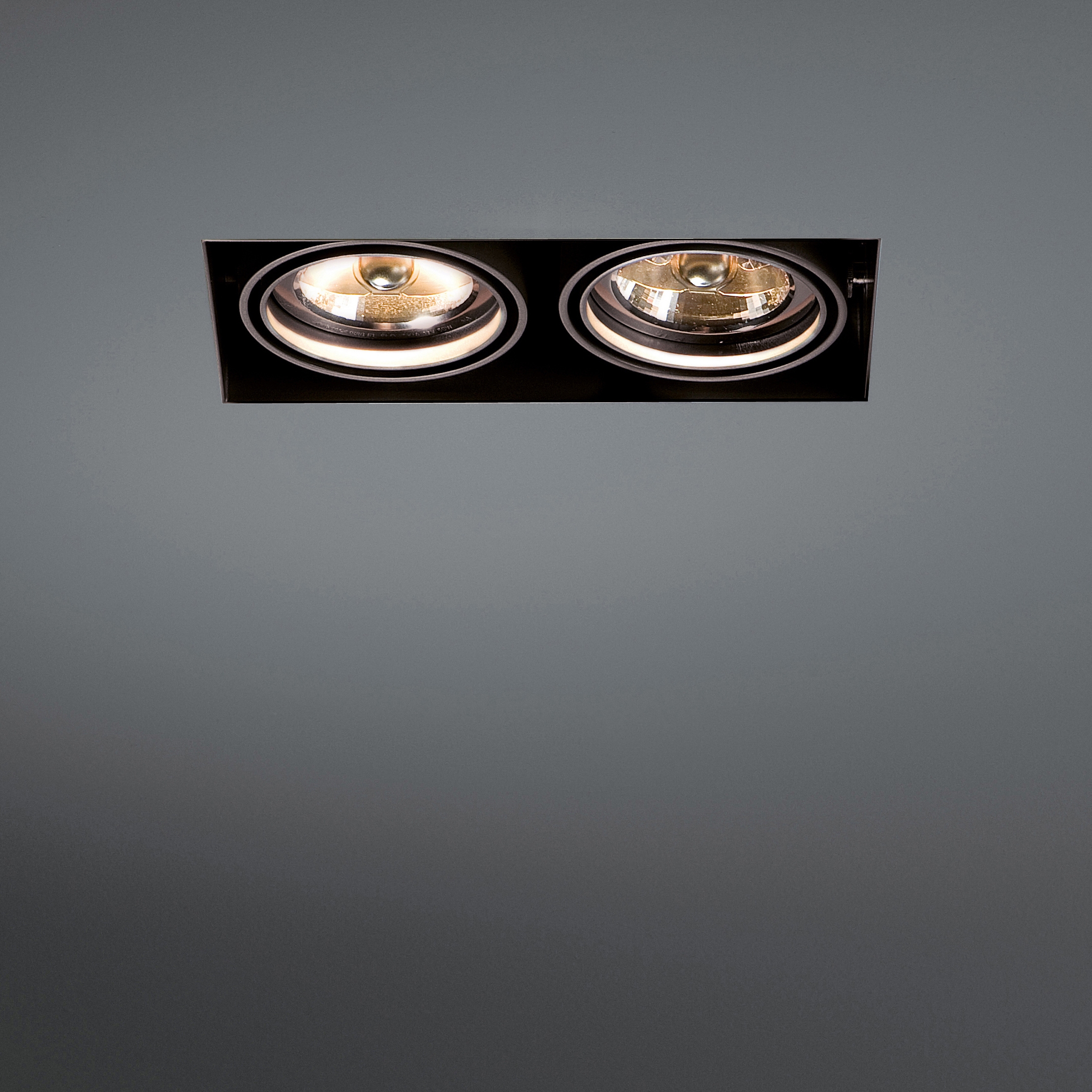 Mostra il prodotto Mini multiple trimless 2x AR70 GE del produttore Modular Lighting Instruments