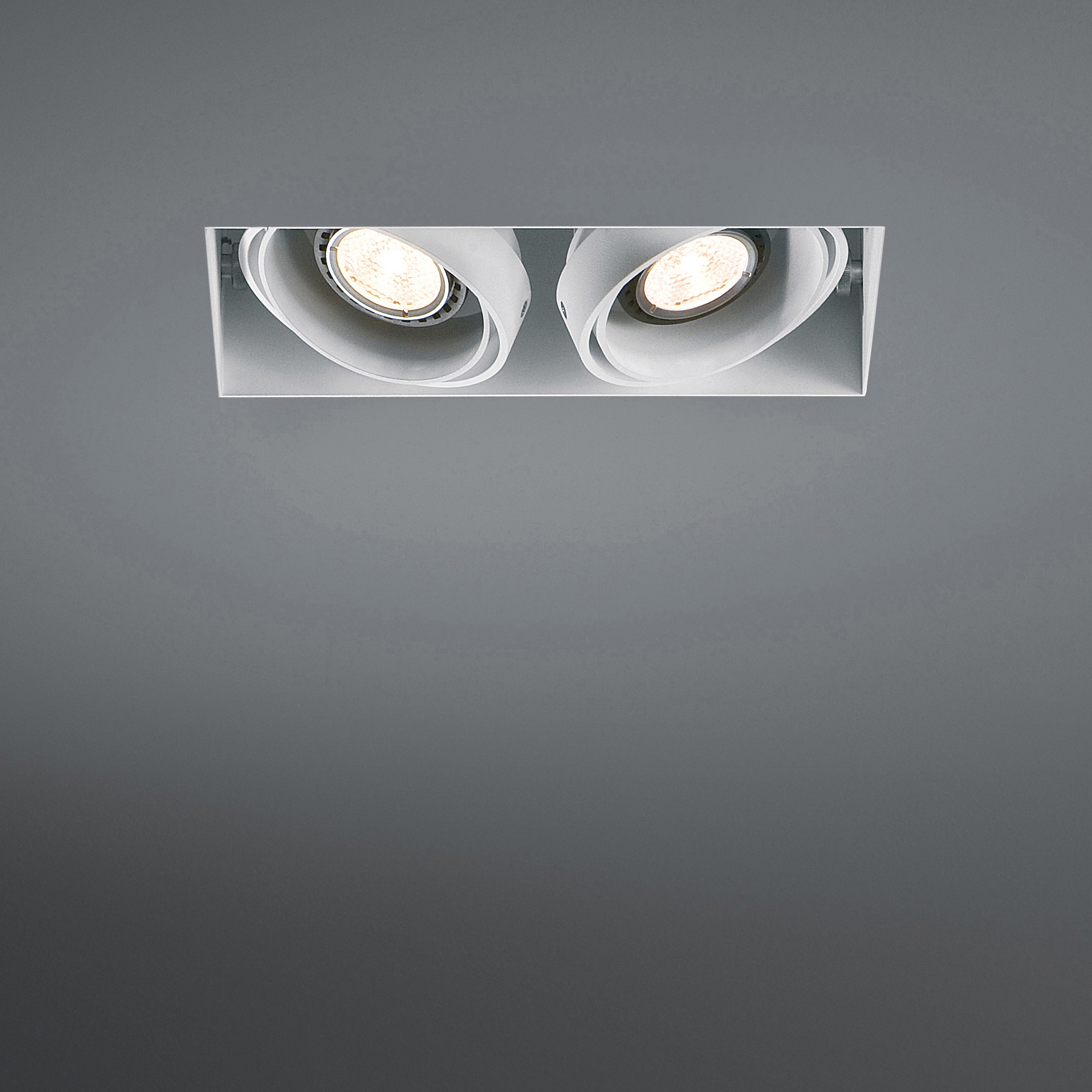 Mostra il prodotto Mini multiple trimless 2x LED retrofit del produttore Modular Lighting Instruments