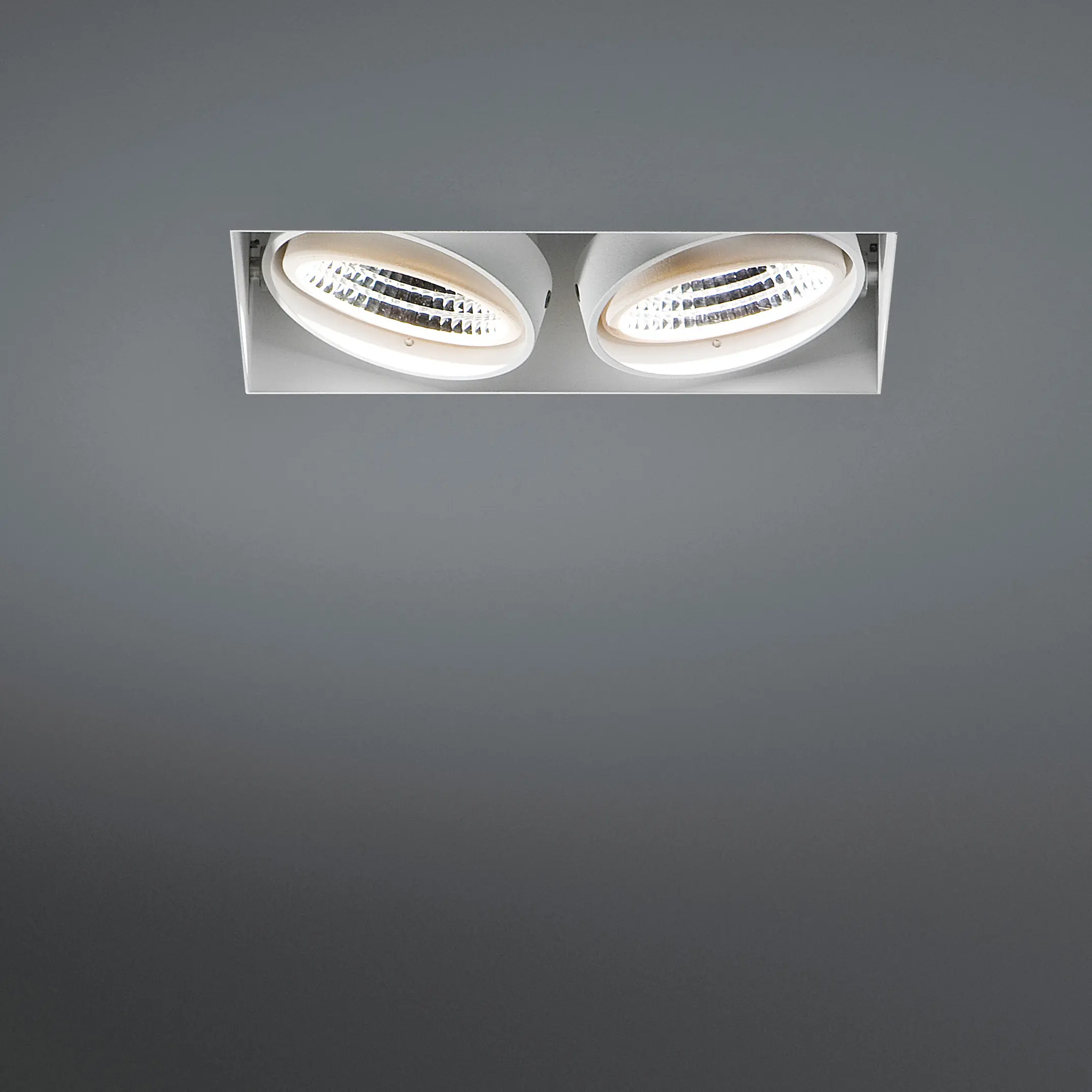 Modular Lighting Instruments - Mini multiple trimless 2x LED 1-10V/Pushdim RG