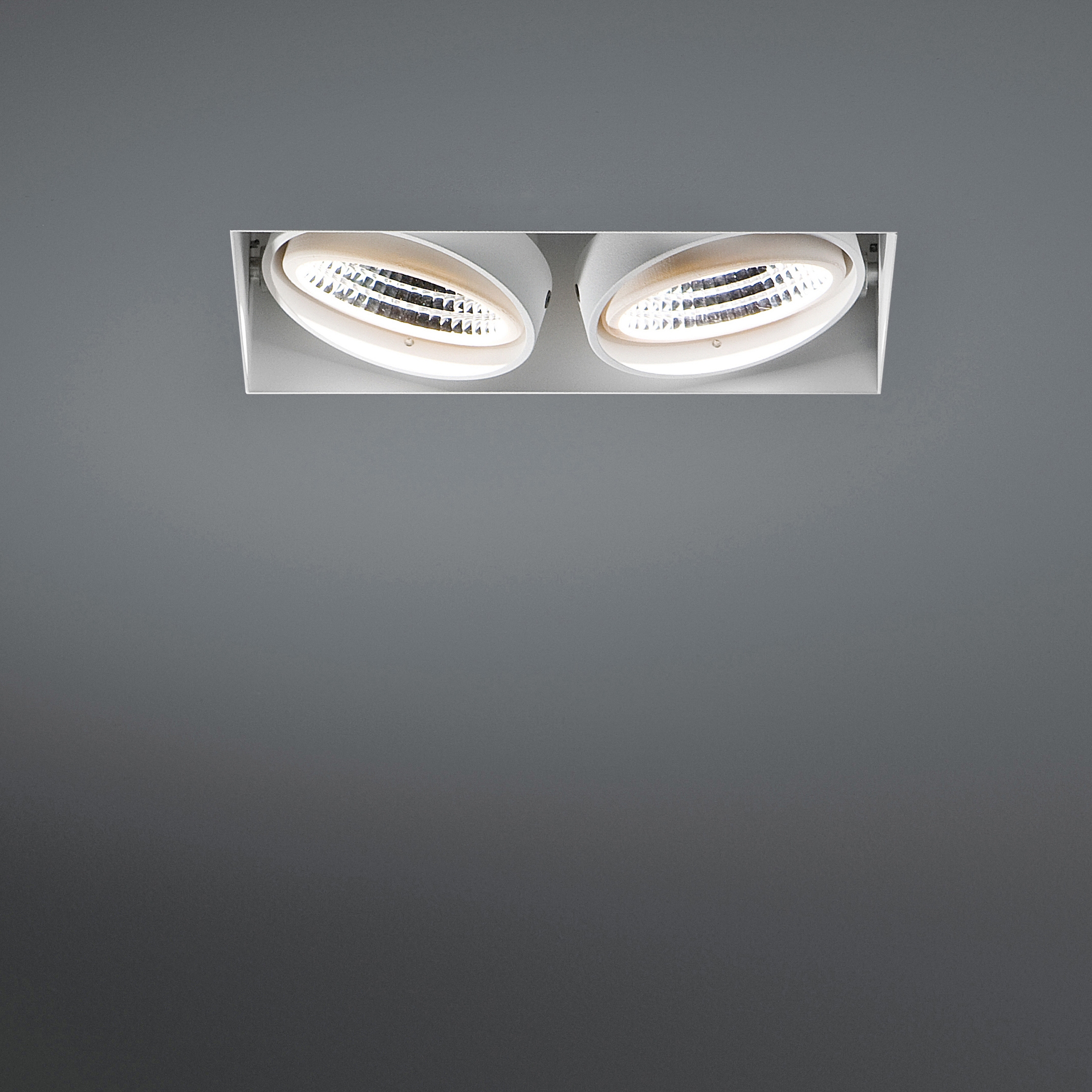 Mostra il prodotto Mini multiple trimless 2x LED RG del produttore Modular Lighting Instruments