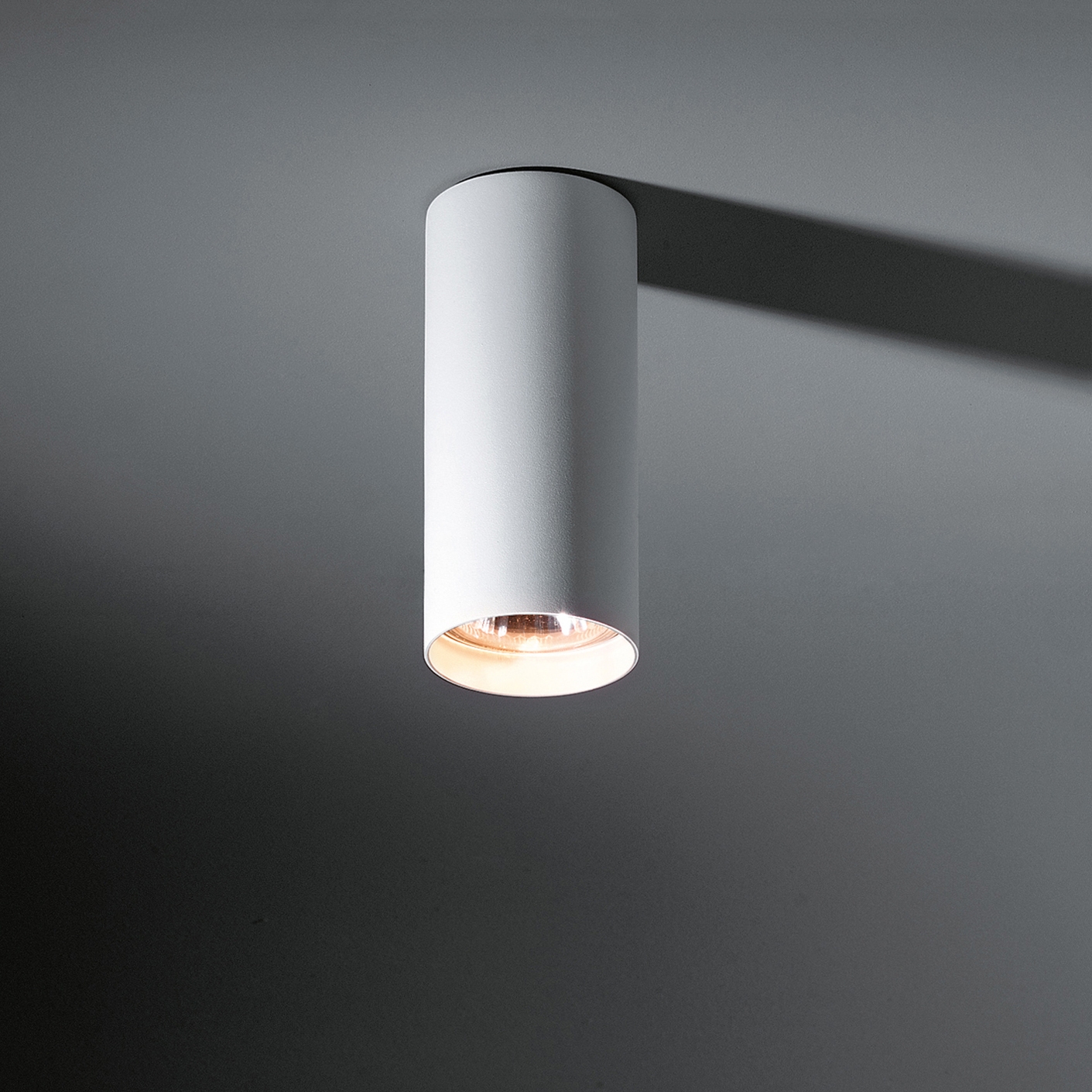 Mostra il prodotto Nude ceiling PAR20 del produttore Modular Lighting Instruments