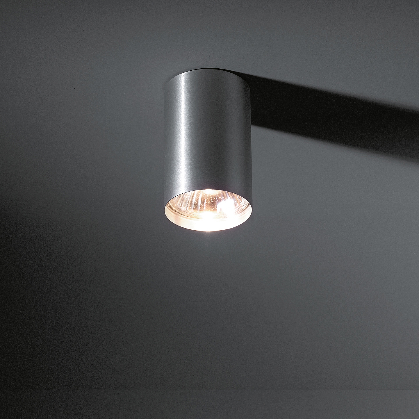 Mostra il prodotto Nude ceiling PAR30 del produttore Modular Lighting Instruments