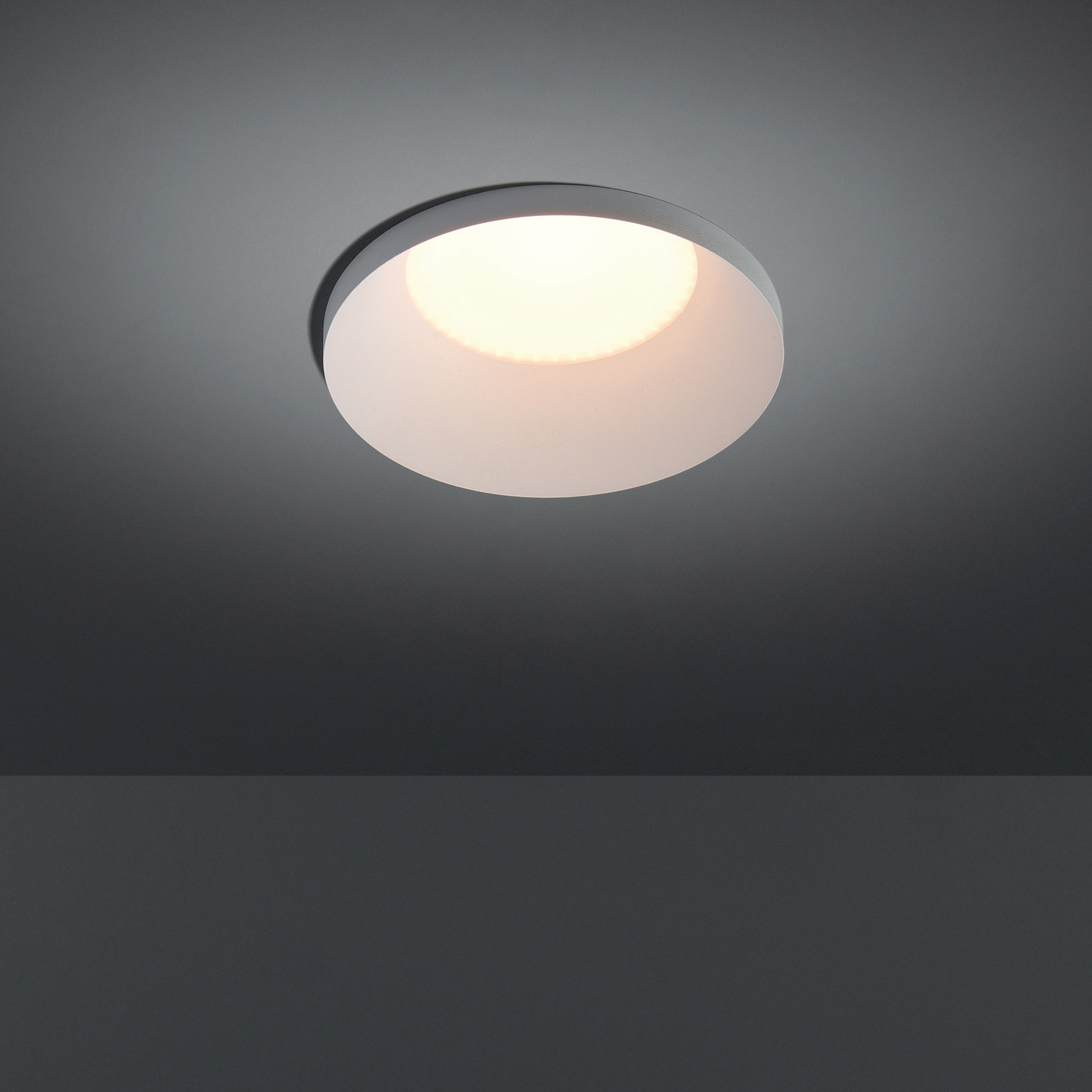 Mostra il prodotto Smart kup 115 diffuse IP54 LED GE del produttore Modular Lighting Instruments