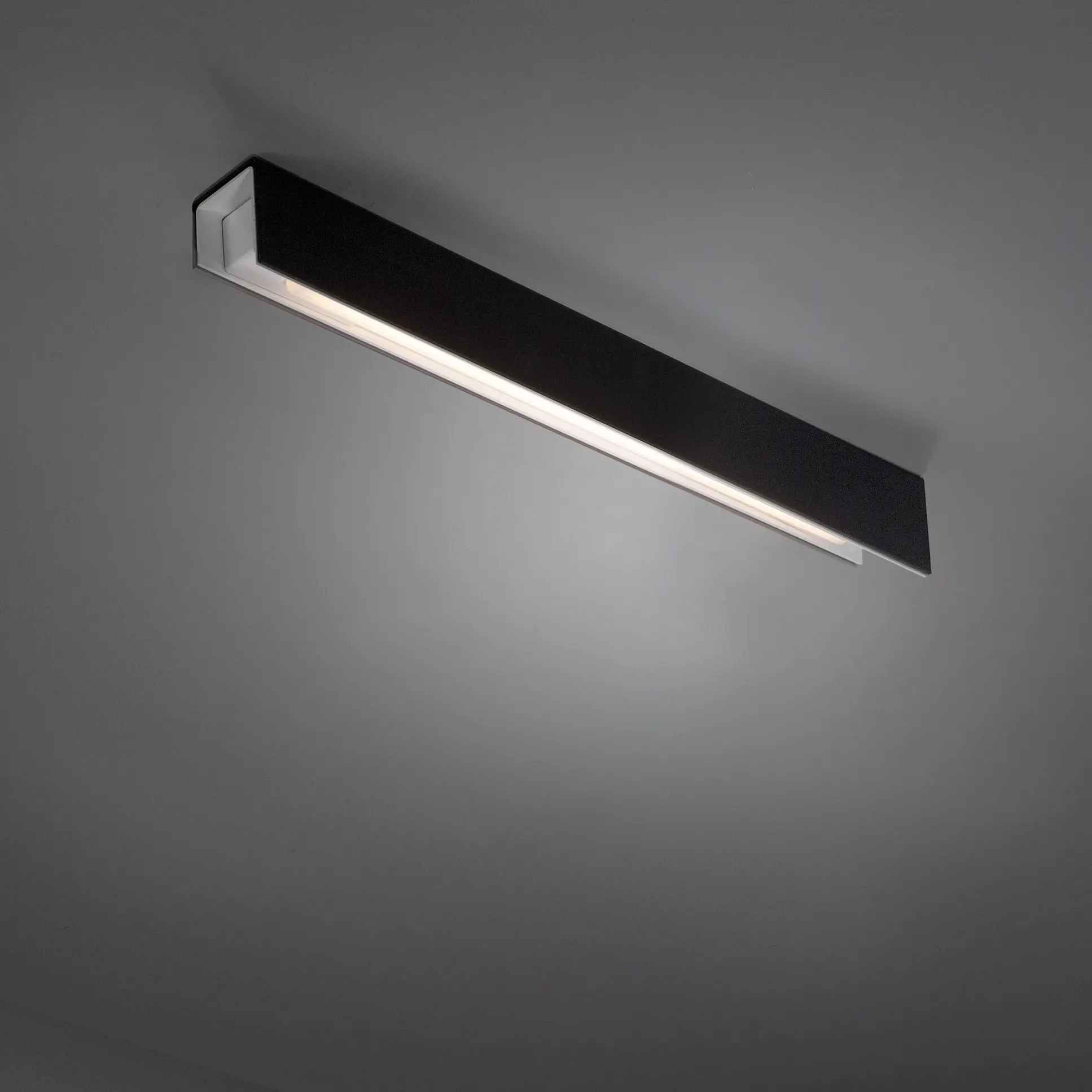 Modular Lighting Instruments - United asy 1x 21/39W Dali/Pushdim GI