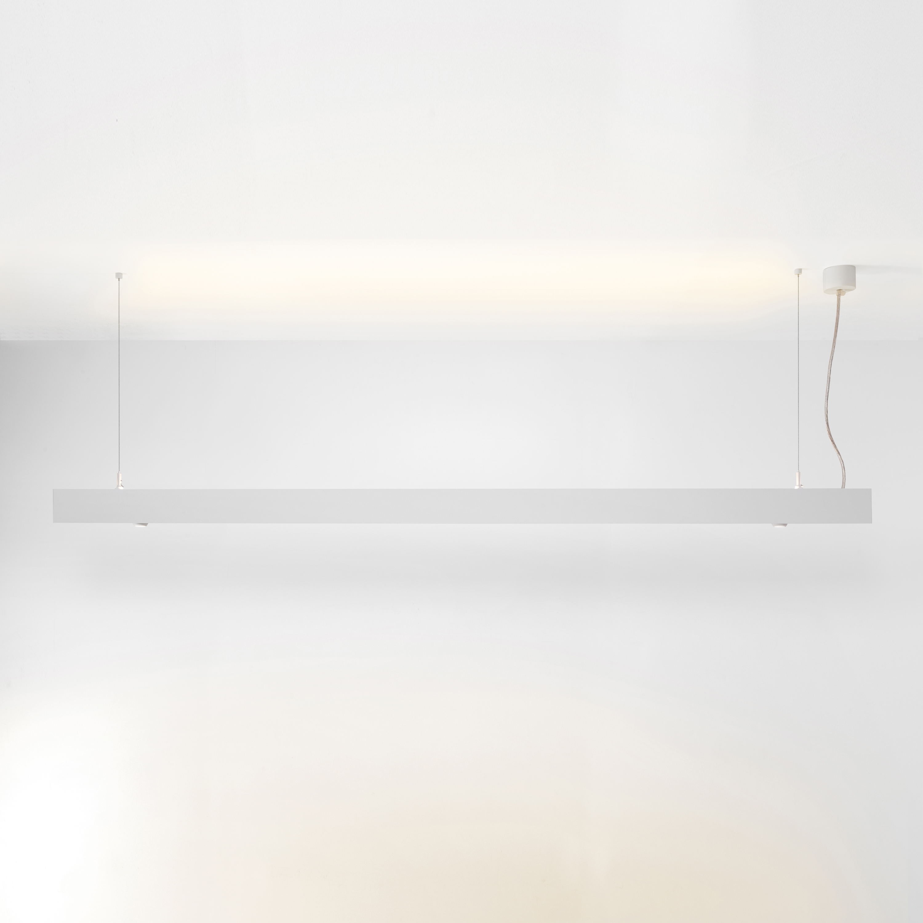 Display product Esseldi eyeall suspension LED up/down GI from manufacturer Modular Lighting Instruments