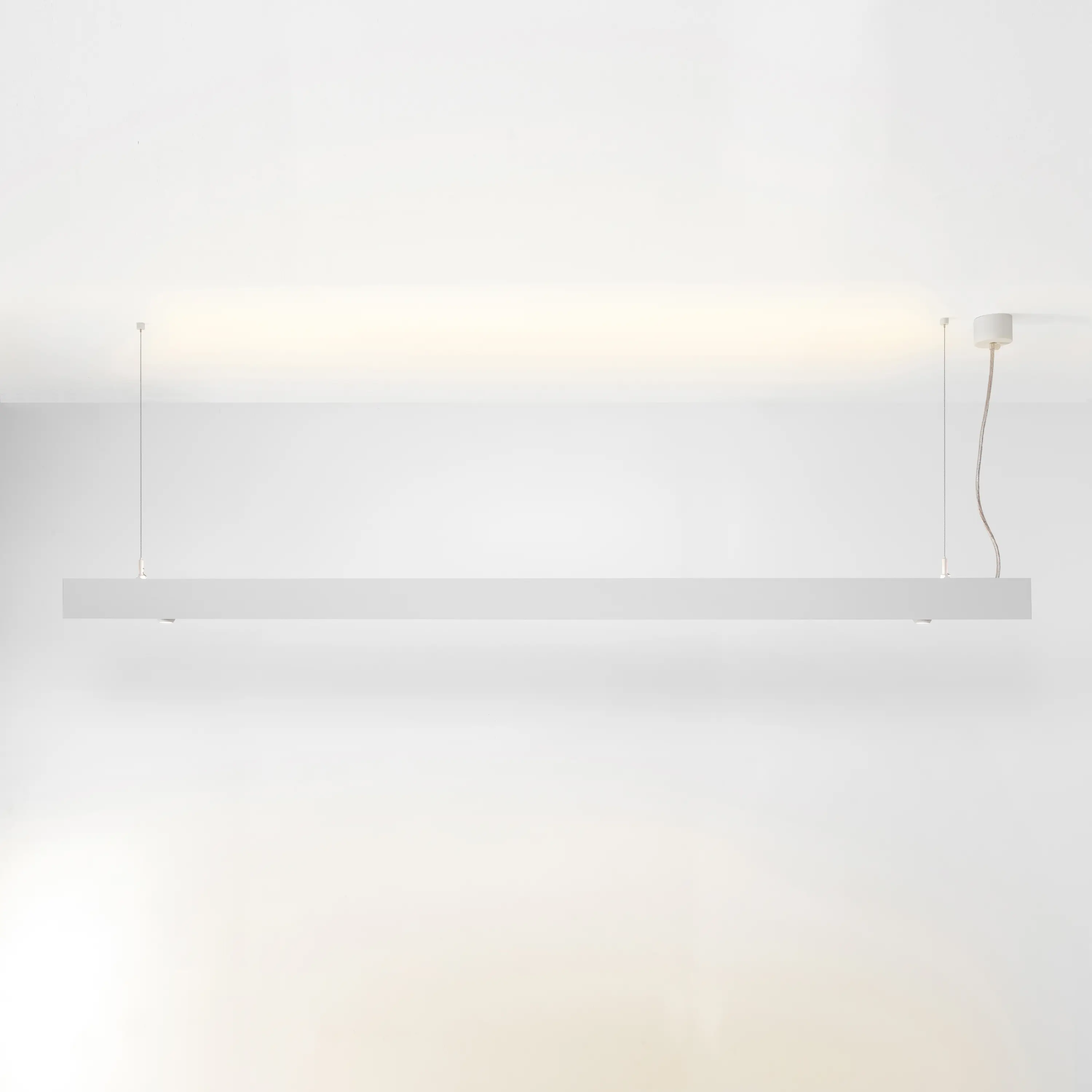 Modular Lighting Instruments - Esseldi eyeall suspension LED up/down GI