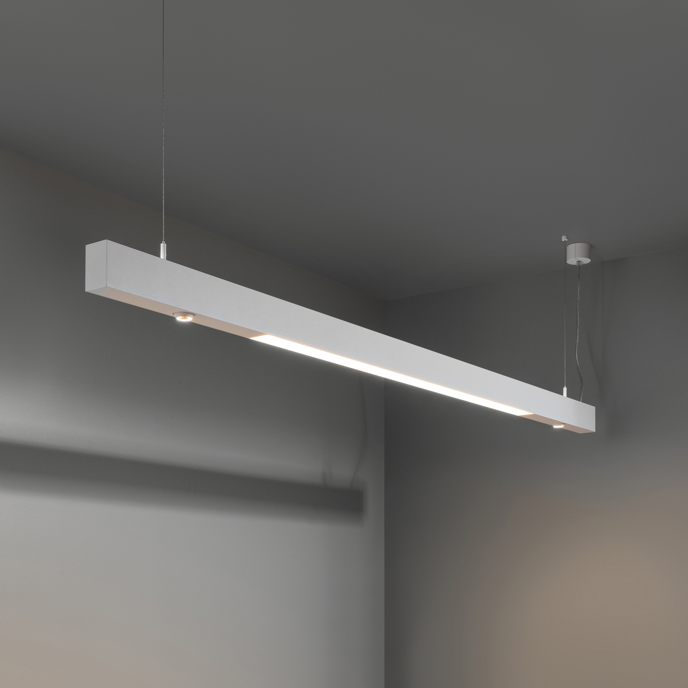 Display product Esseldi suspension LED down GI from manufacturer Modular Lighting Instruments