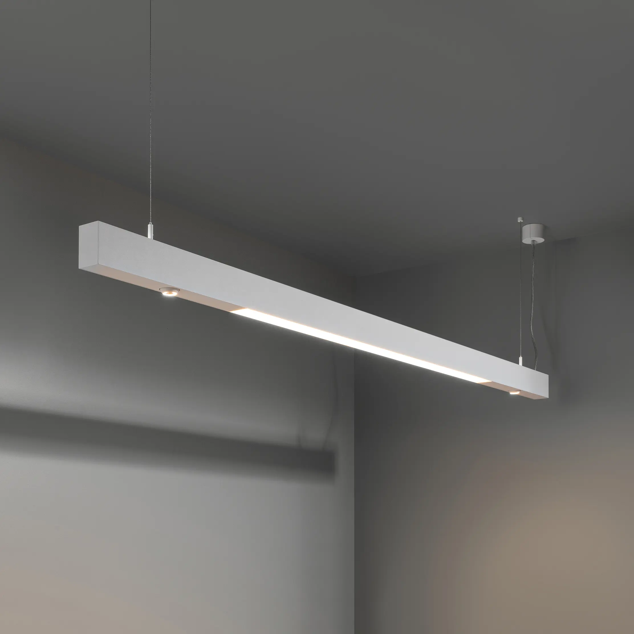 Modular Lighting Instruments - Esseldi suspension LED down GI