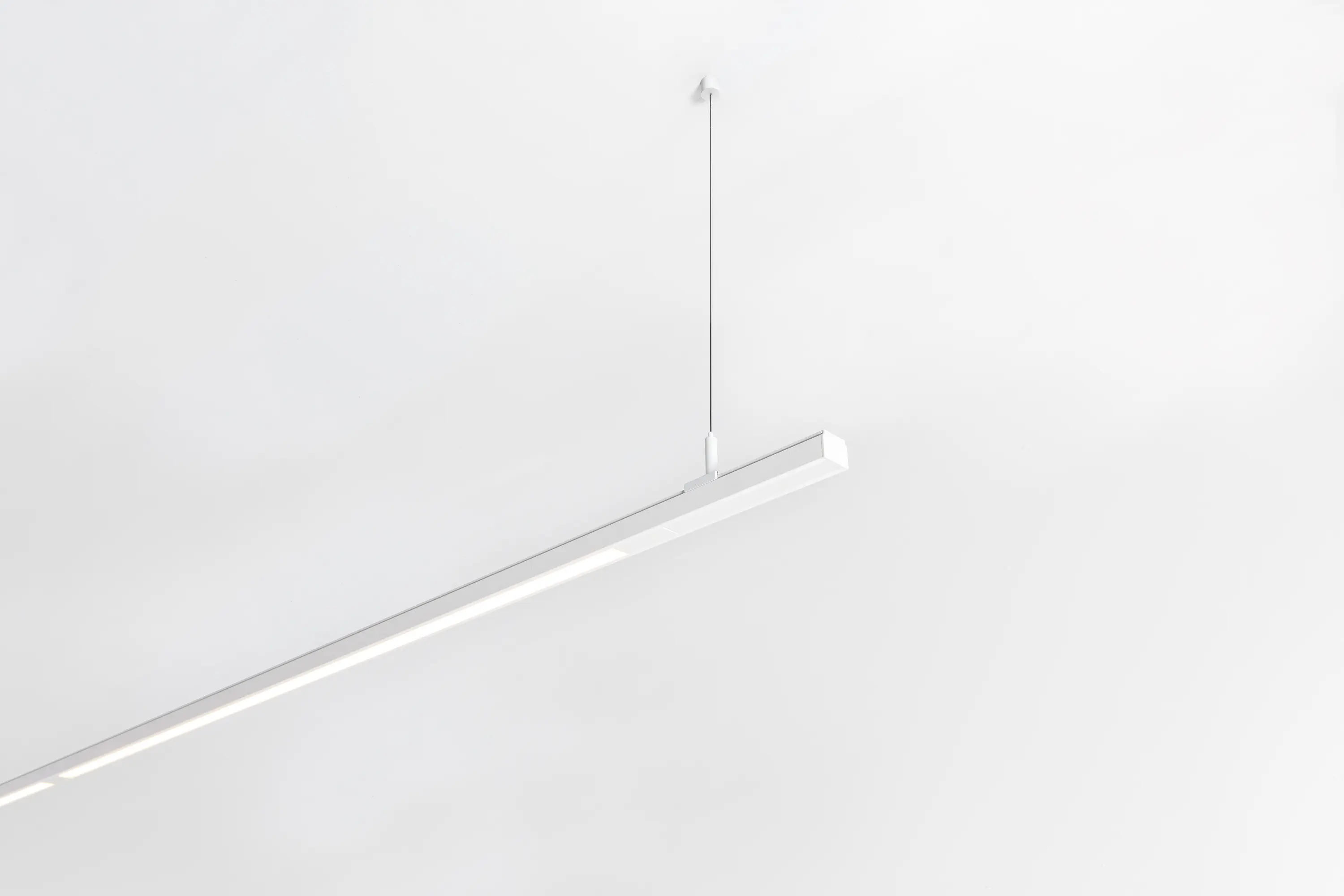 Modular Lighting Instruments - Pista Linear LED | Suspension