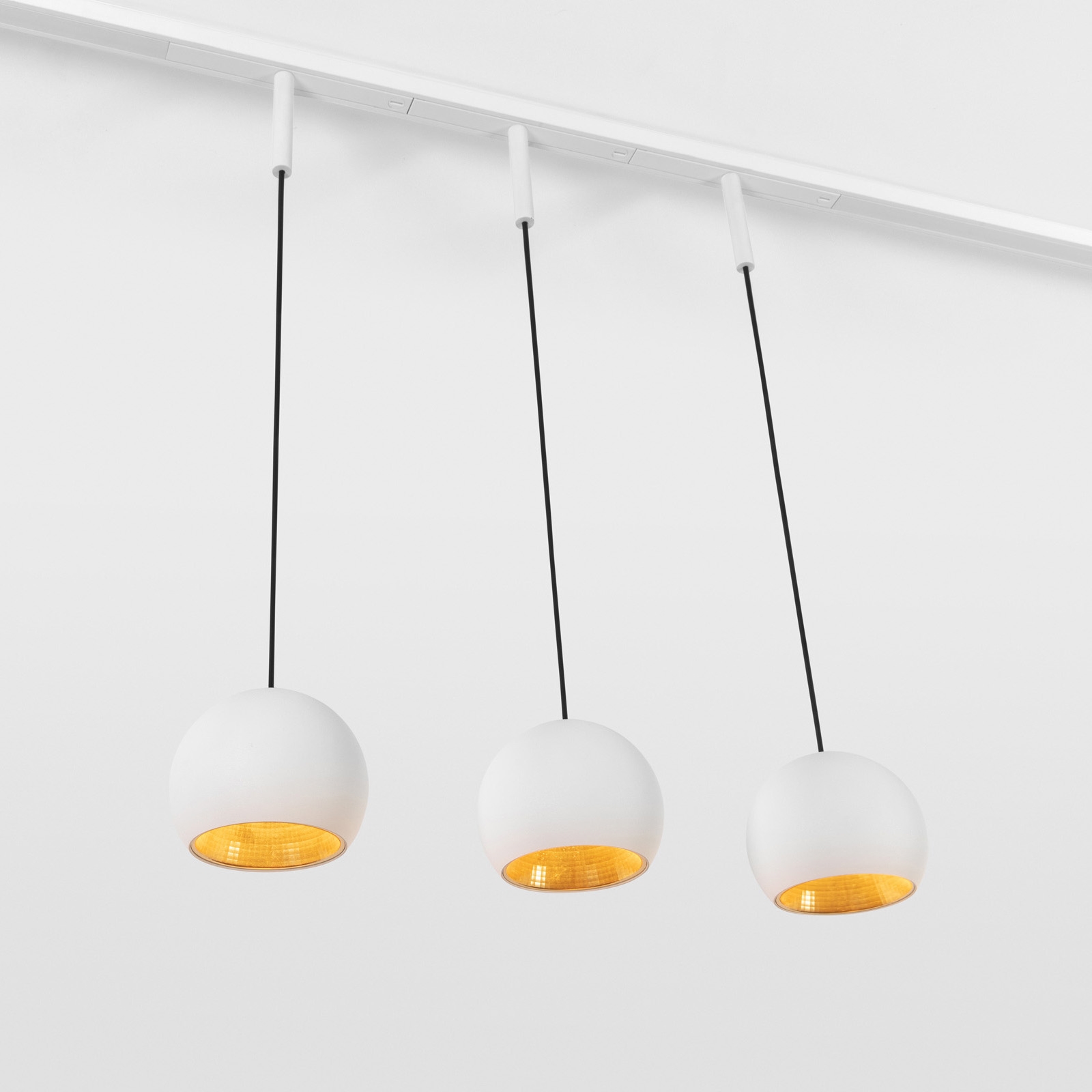 Display product Marbul track suspension 48V from manufacturer Modular Lighting Instruments