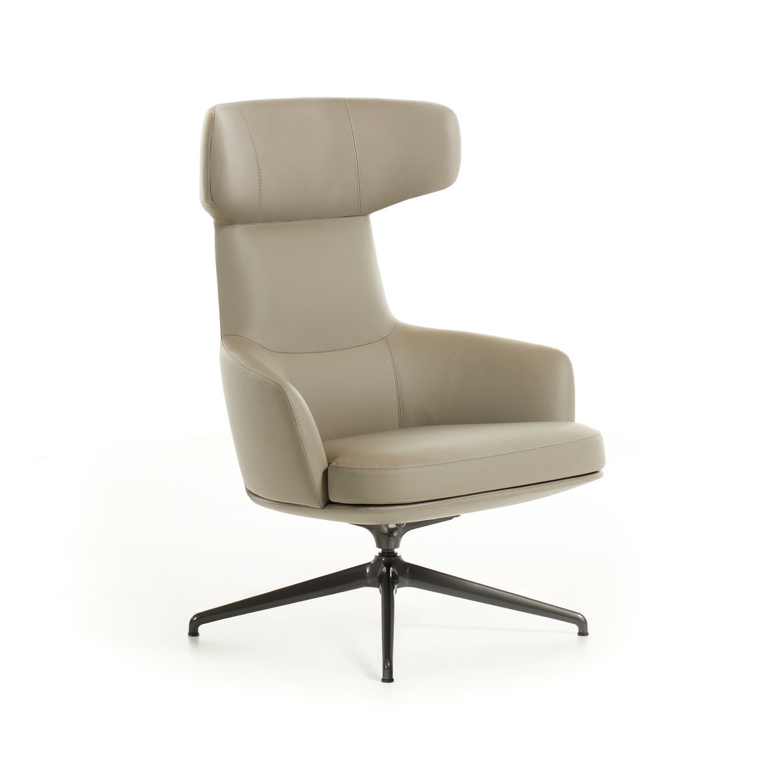 Display product Piccadilly | Armchair from manufacturer Molteni & C