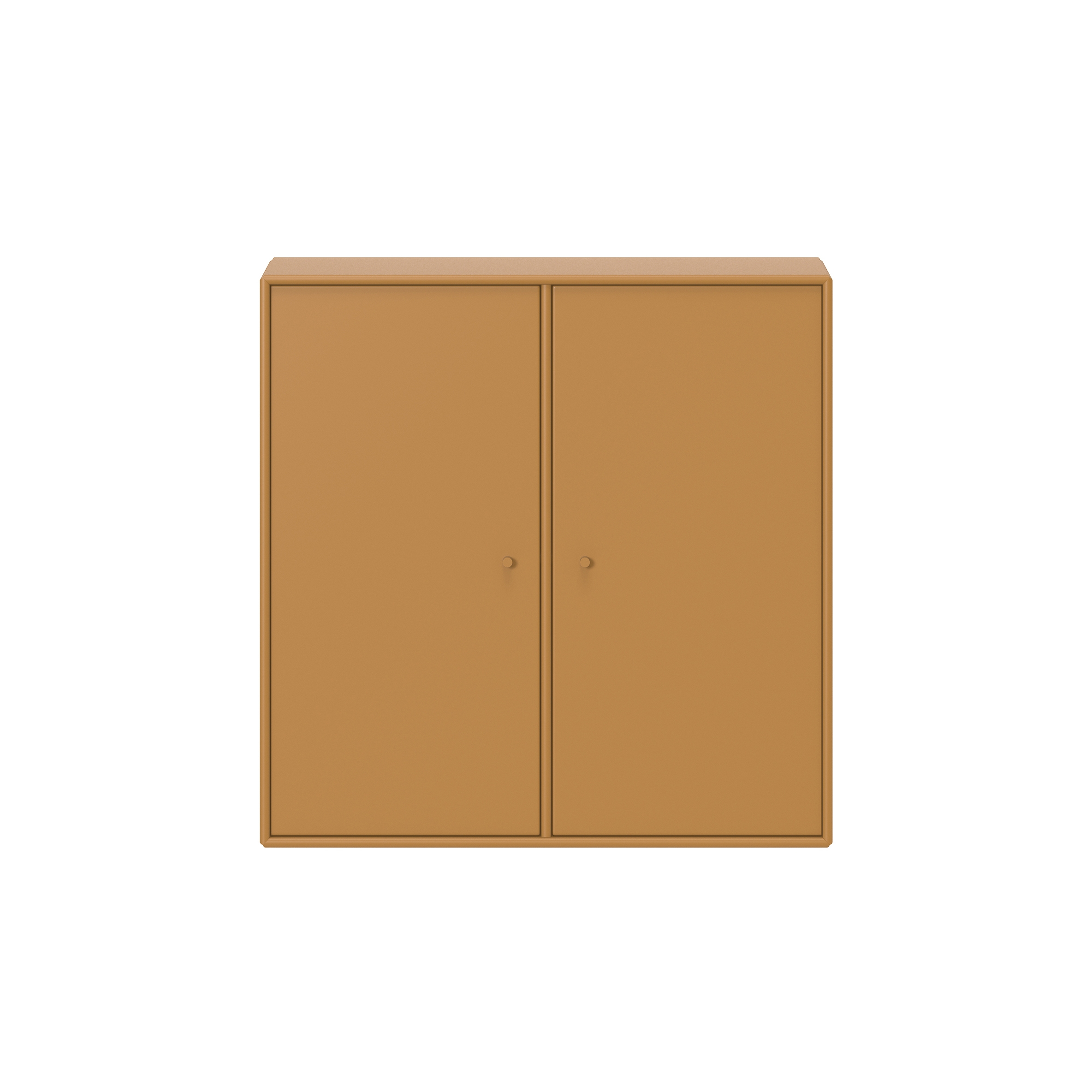 Montana COVER | Amber