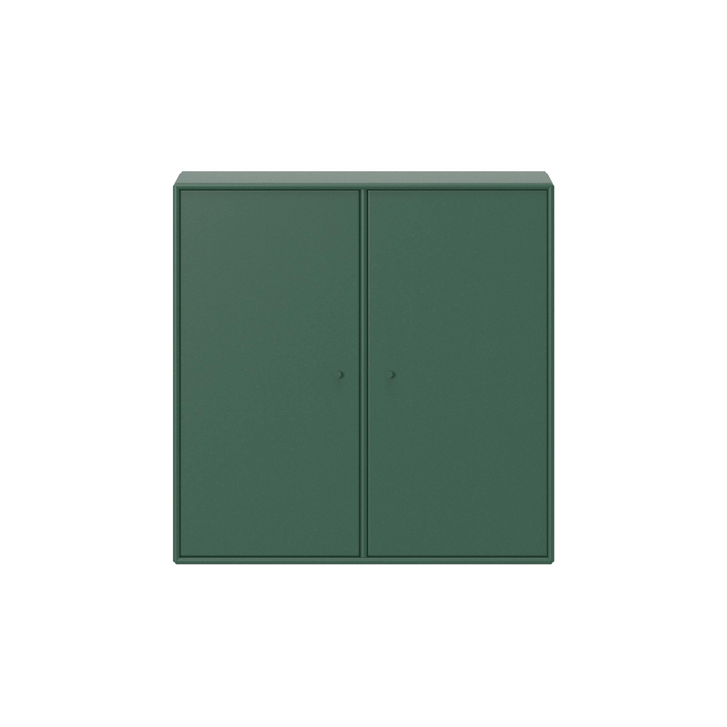 Montana COVER | Pine