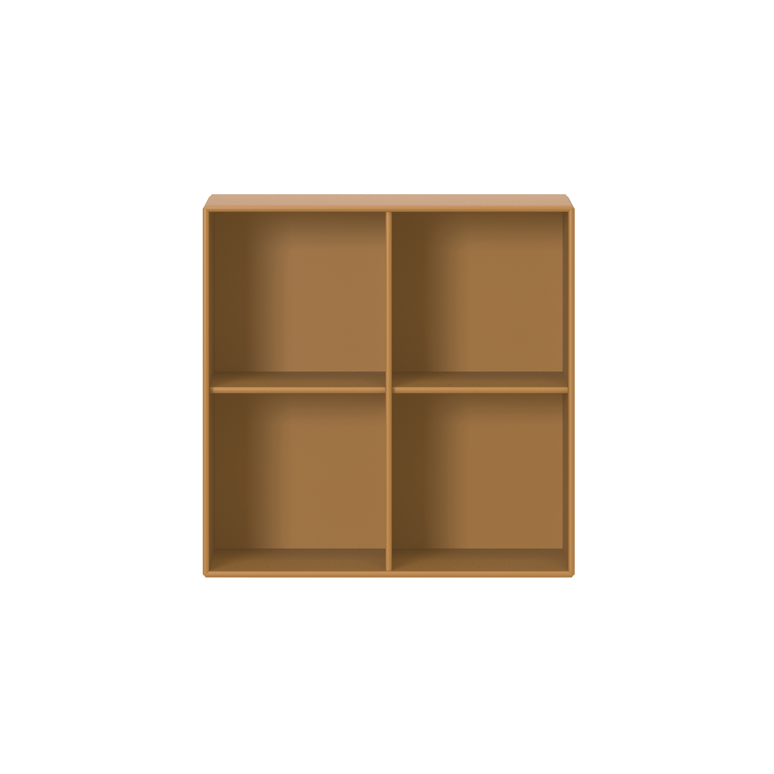 Montana SHOW | Amber