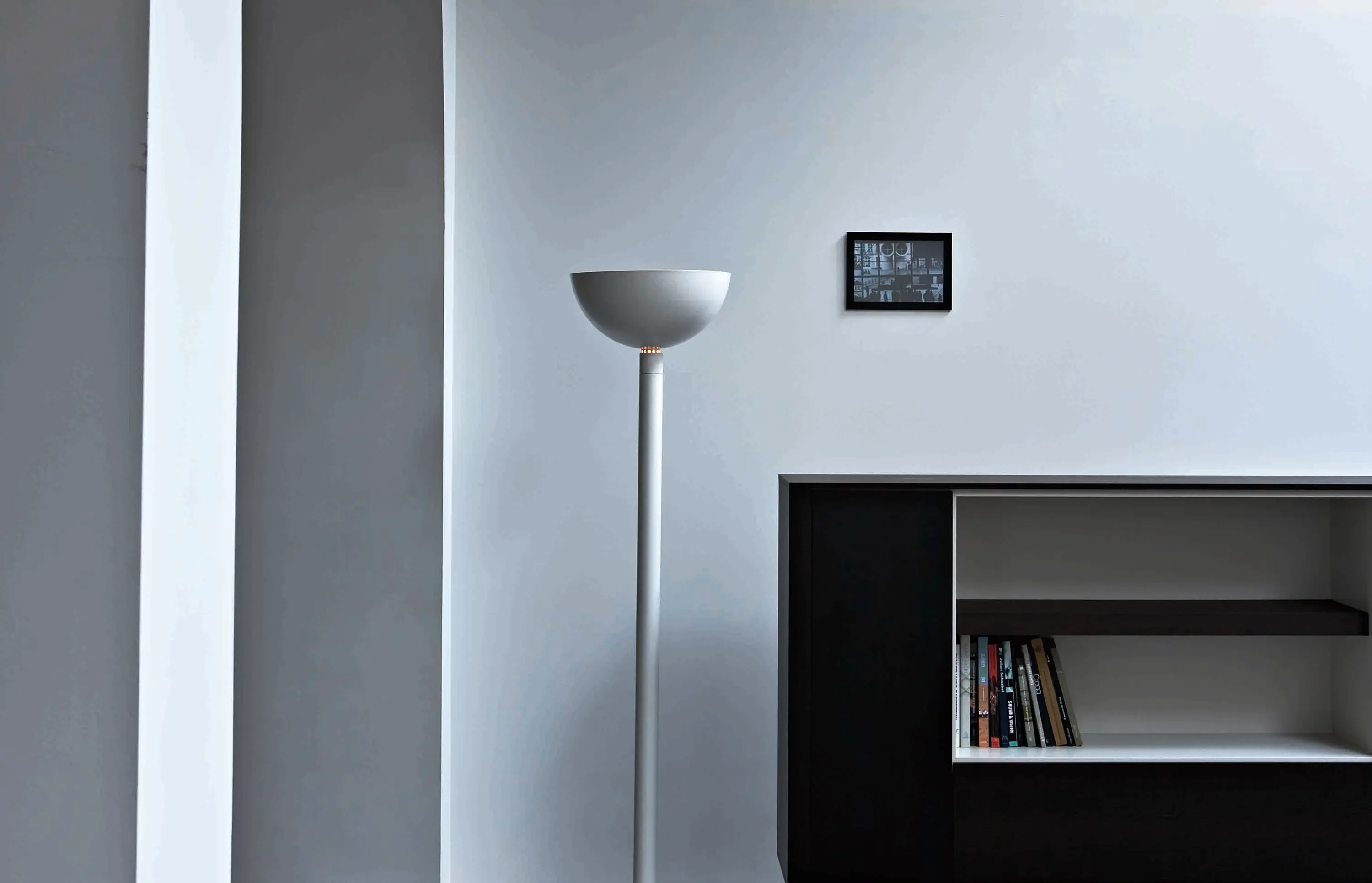 Nemo - Albini Collection | AS41C