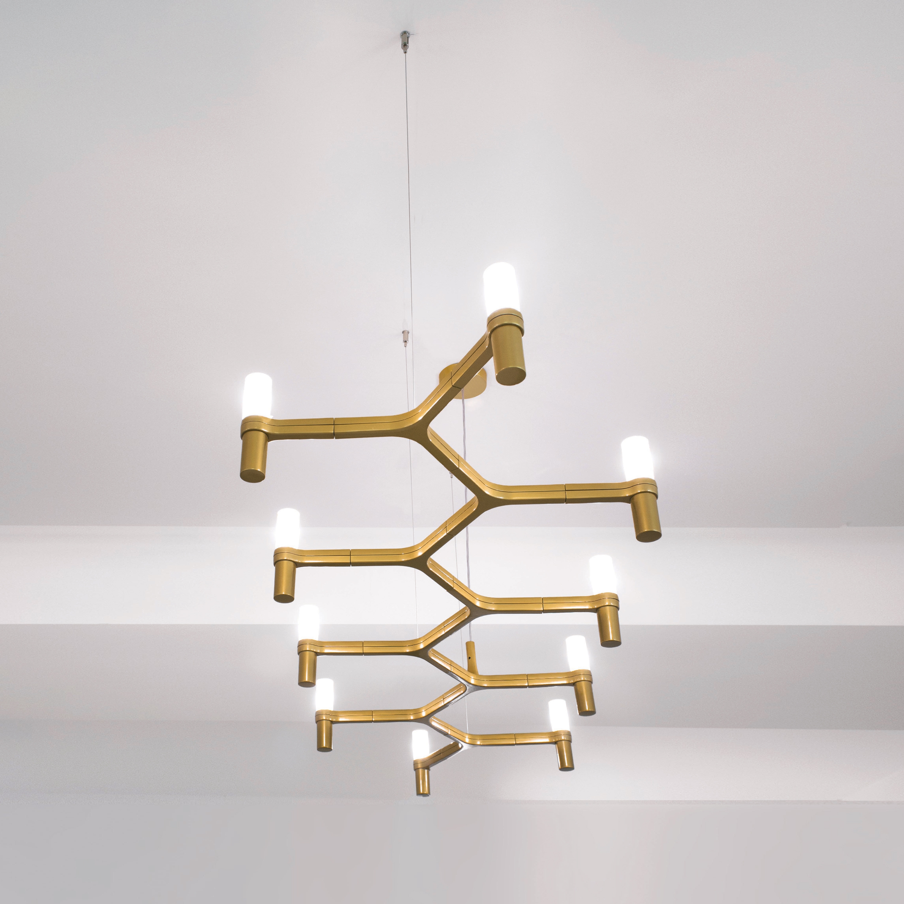 Mostrar el producto Crown Plana Linea del fabricante Nemo