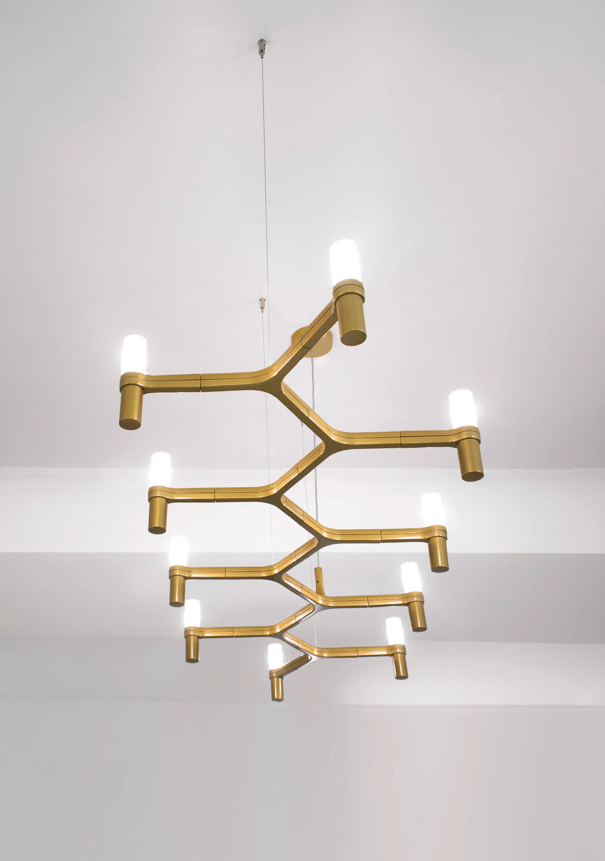 Nemo - Crown Plana Linea