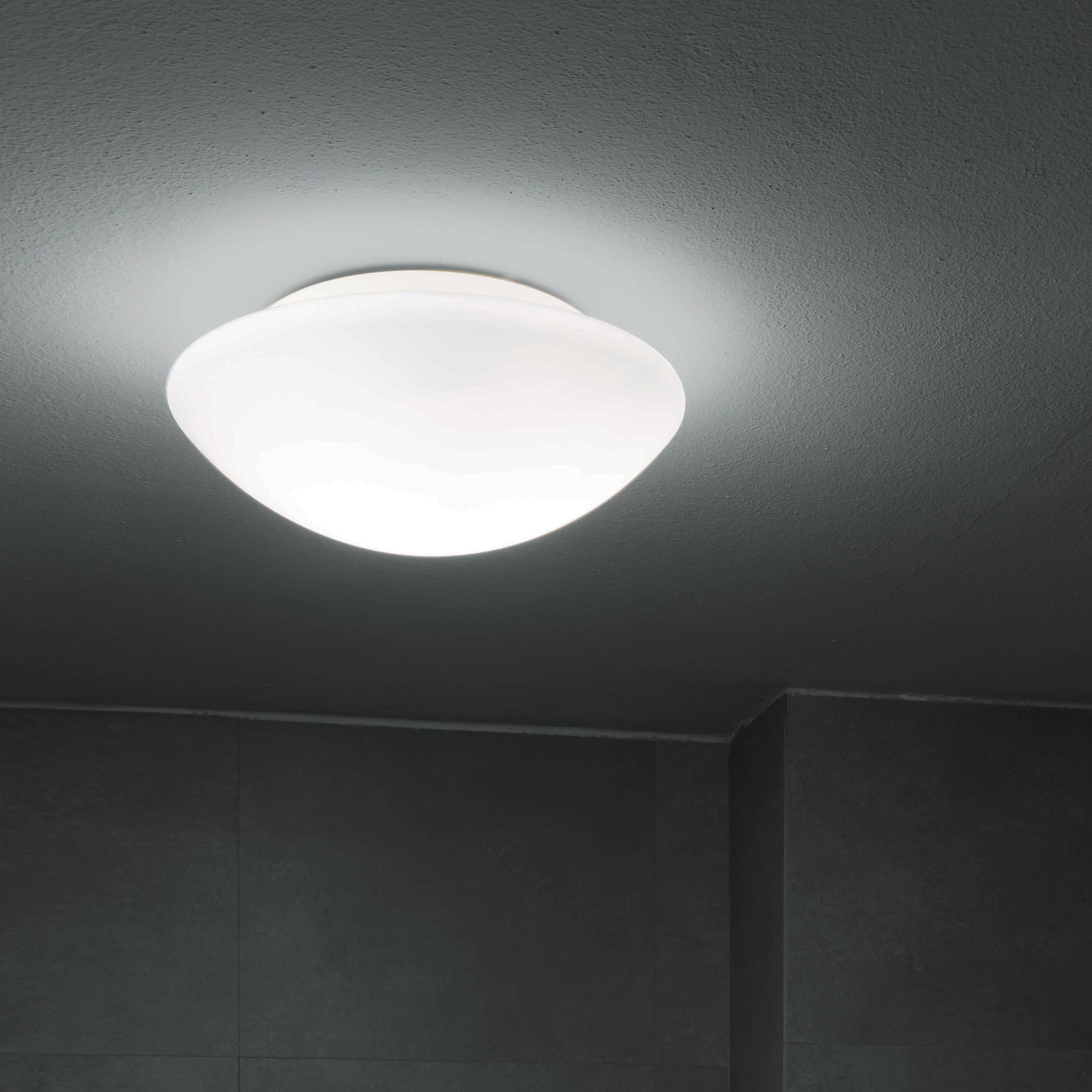 Mostra il prodotto Jesolo del produttore Nemo