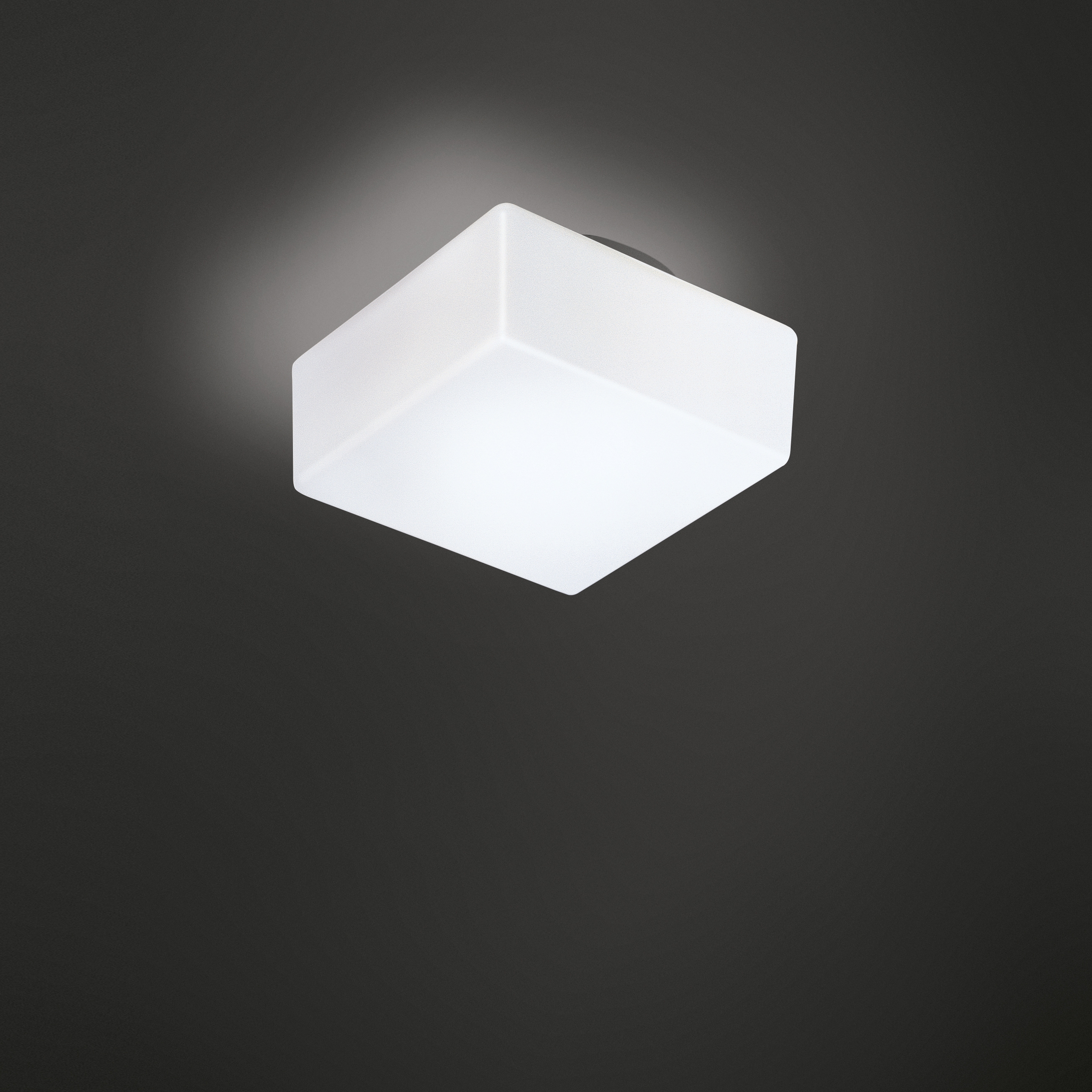 Mostra il prodotto Quadra del produttore Nemo