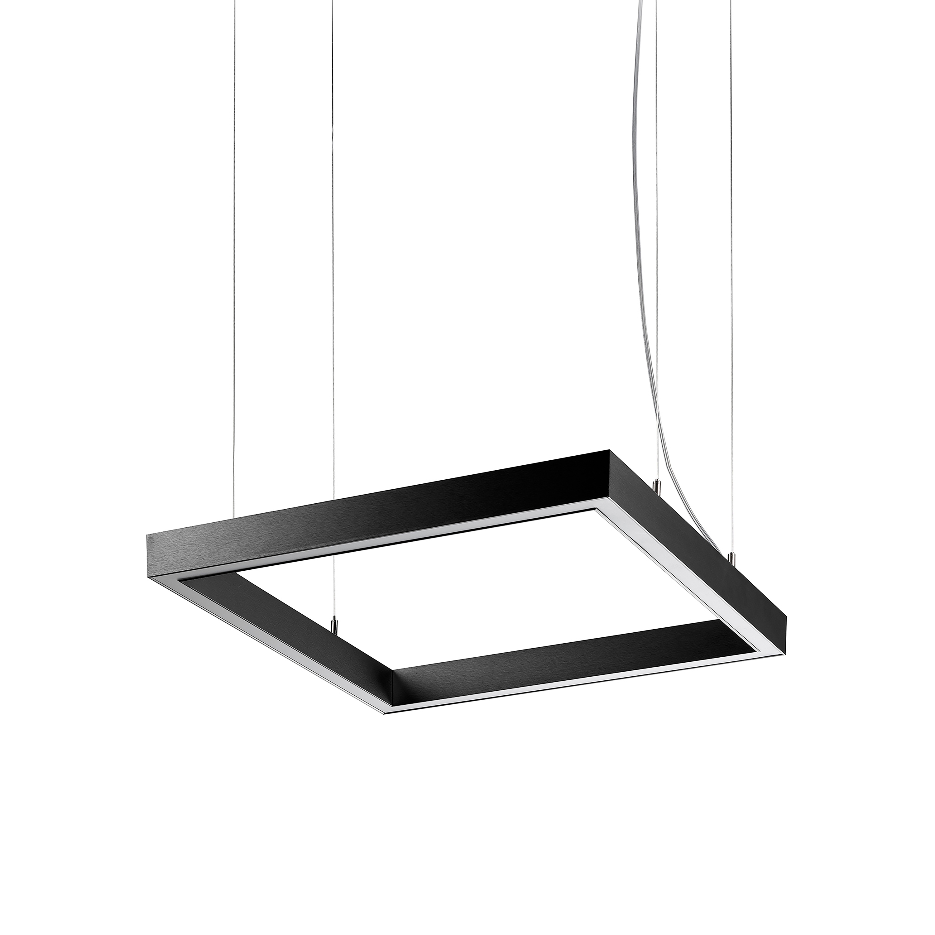 Mostrar el producto Zirkol - S Plus del fabricante Nemo