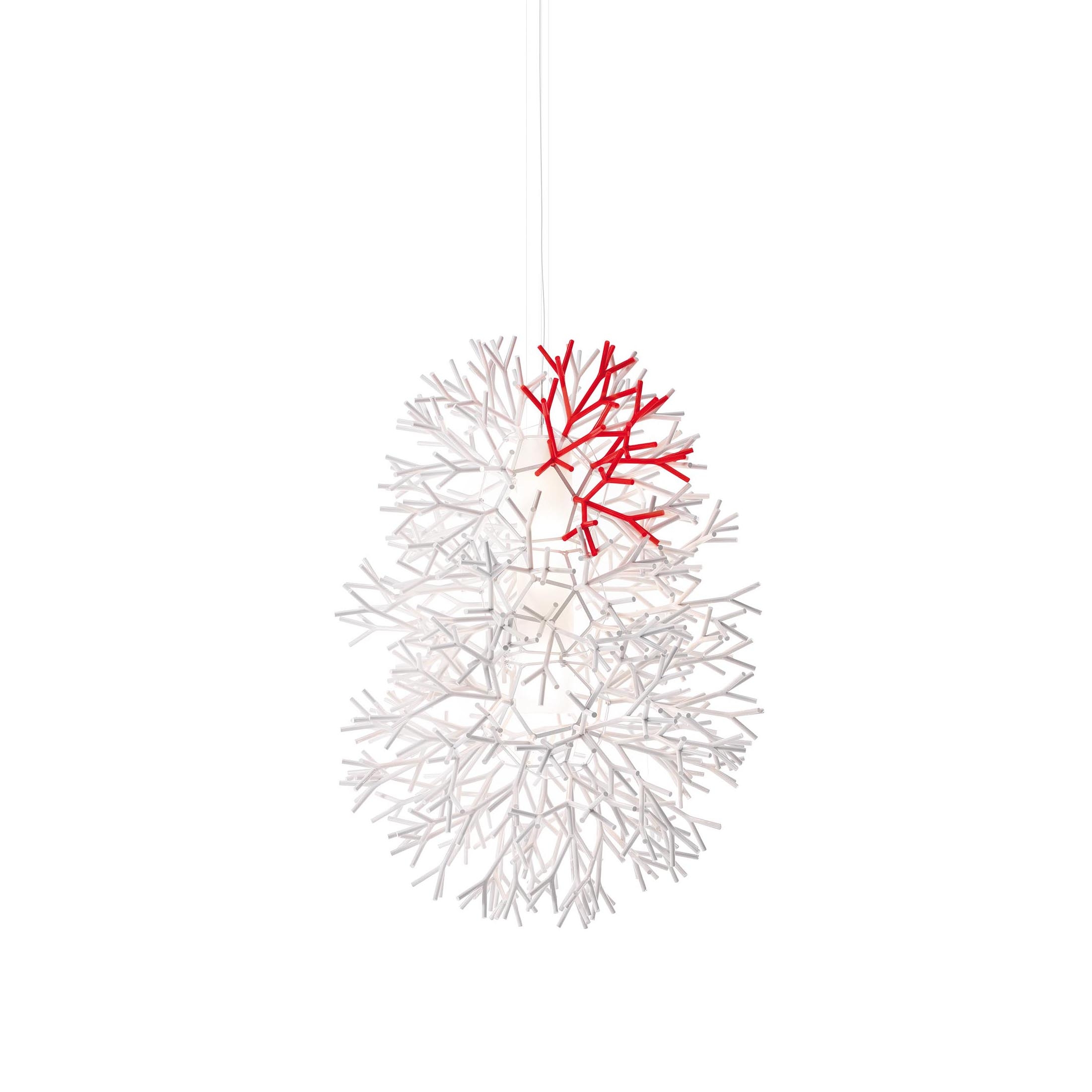 Coral sospensione verticale