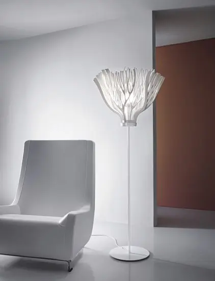 Pallucco - Foglie