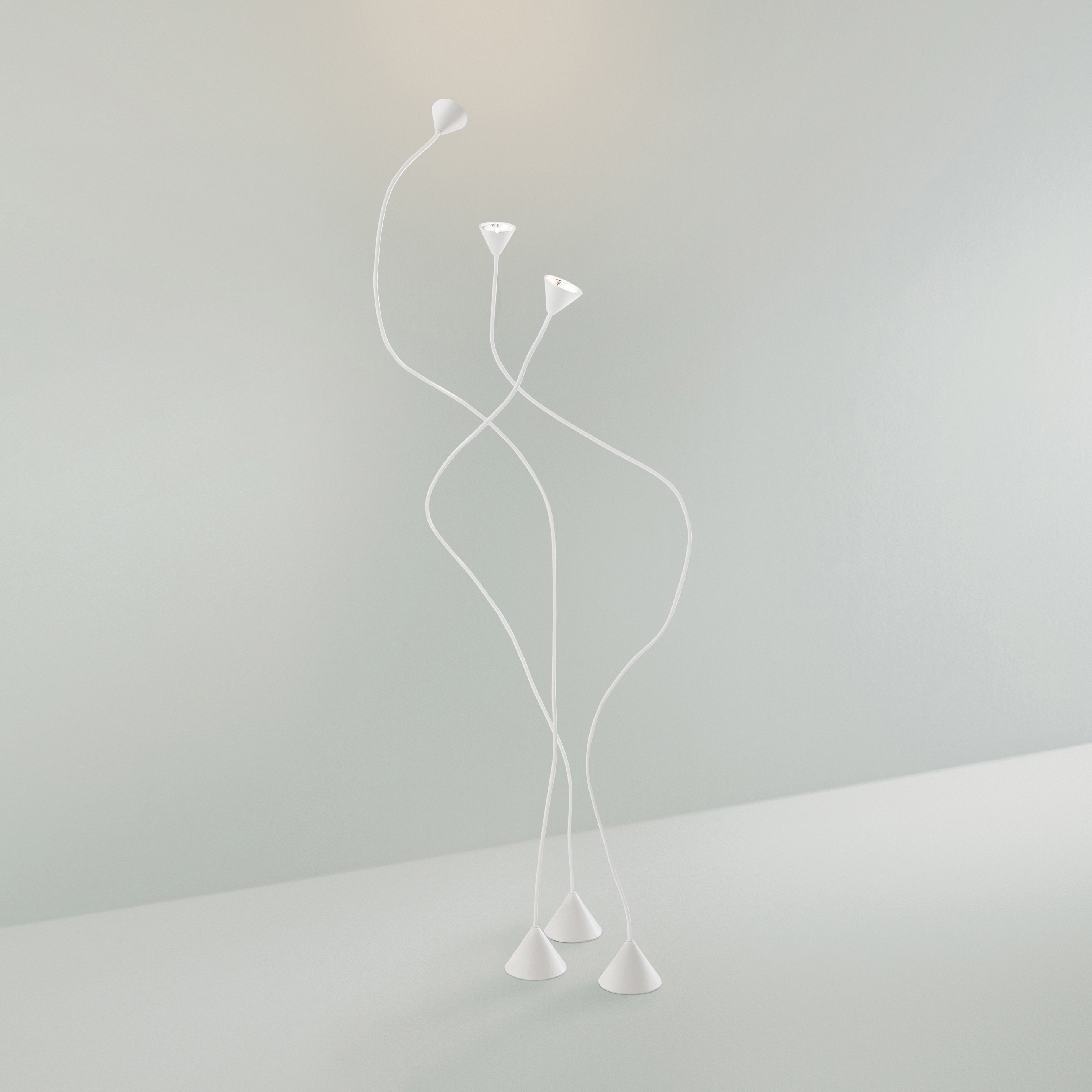 Display product Papiro from manufacturer Pallucco