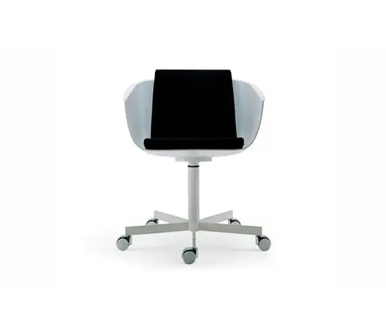 Poliform - Strip chair