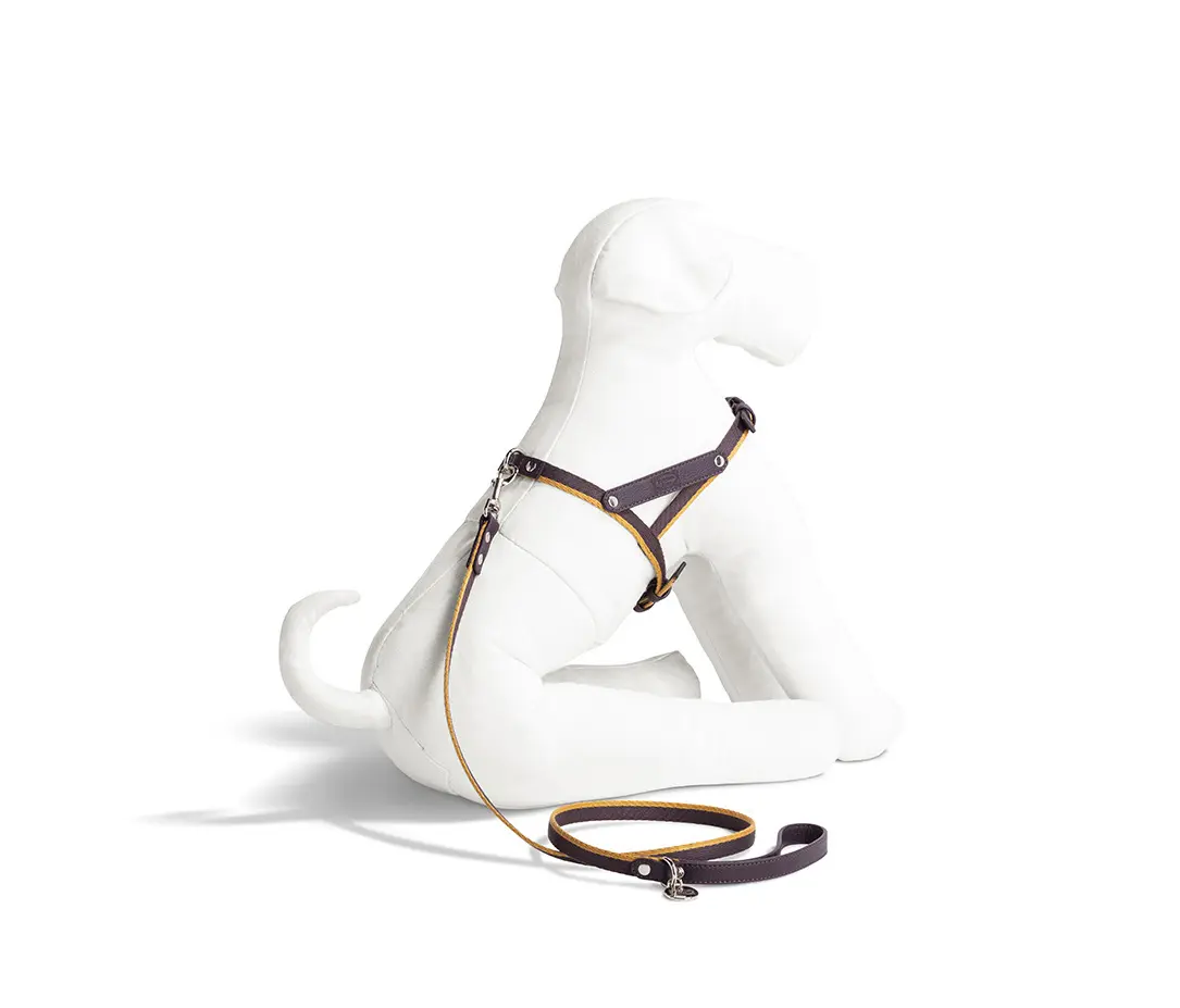 Poltrona Frau - Pet Collection | Harness