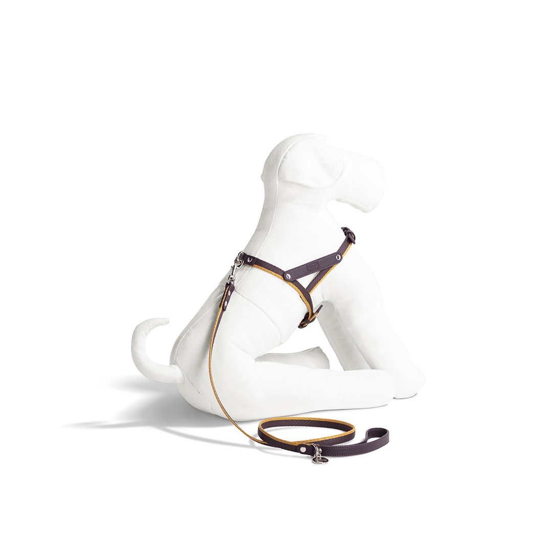 Mostra il prodotto Pet Collection | Harness del produttore Poltrona Frau